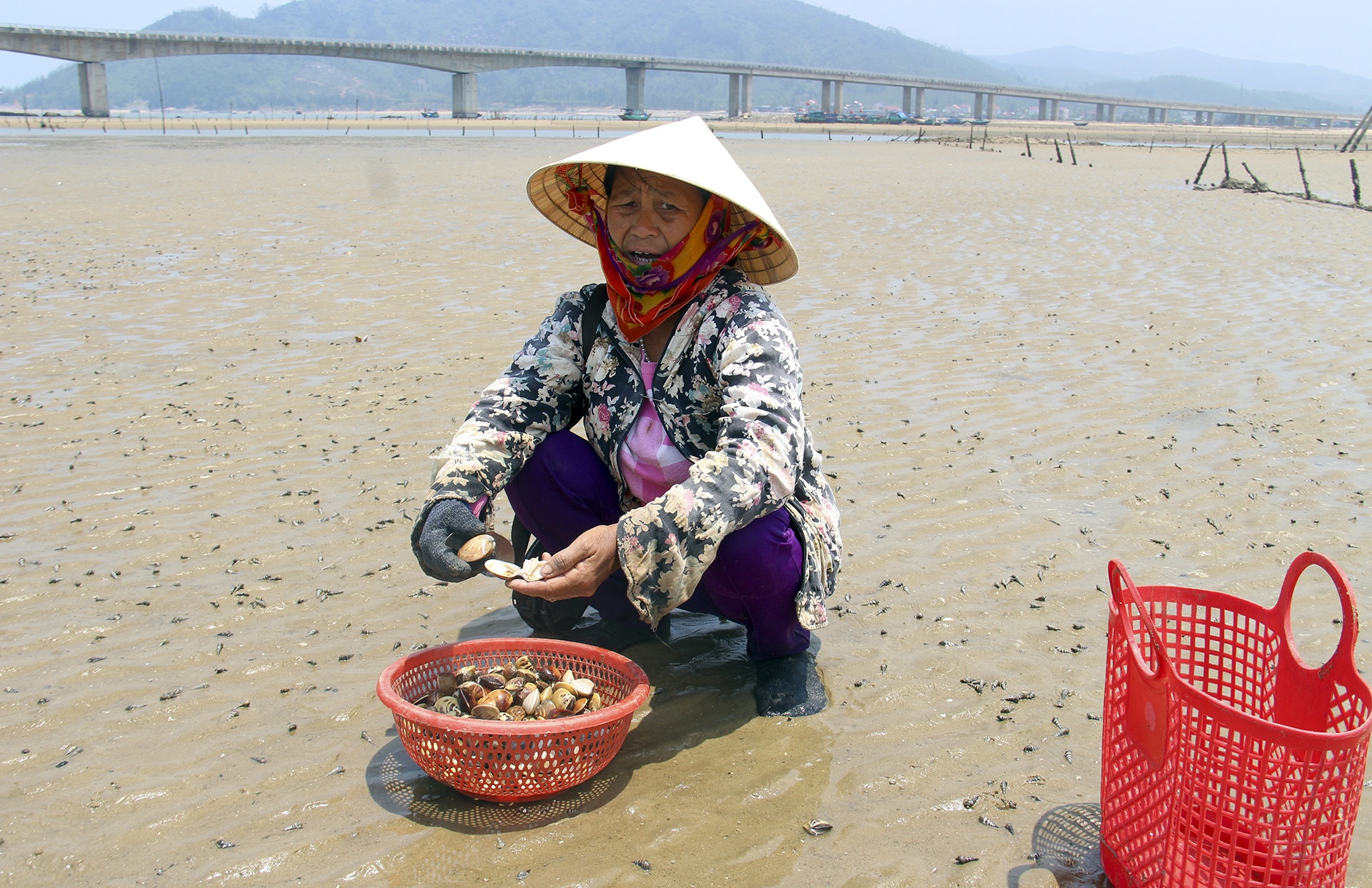 ngao chết trắng đầm ảnh 6 ngao chet trang dam anh 6