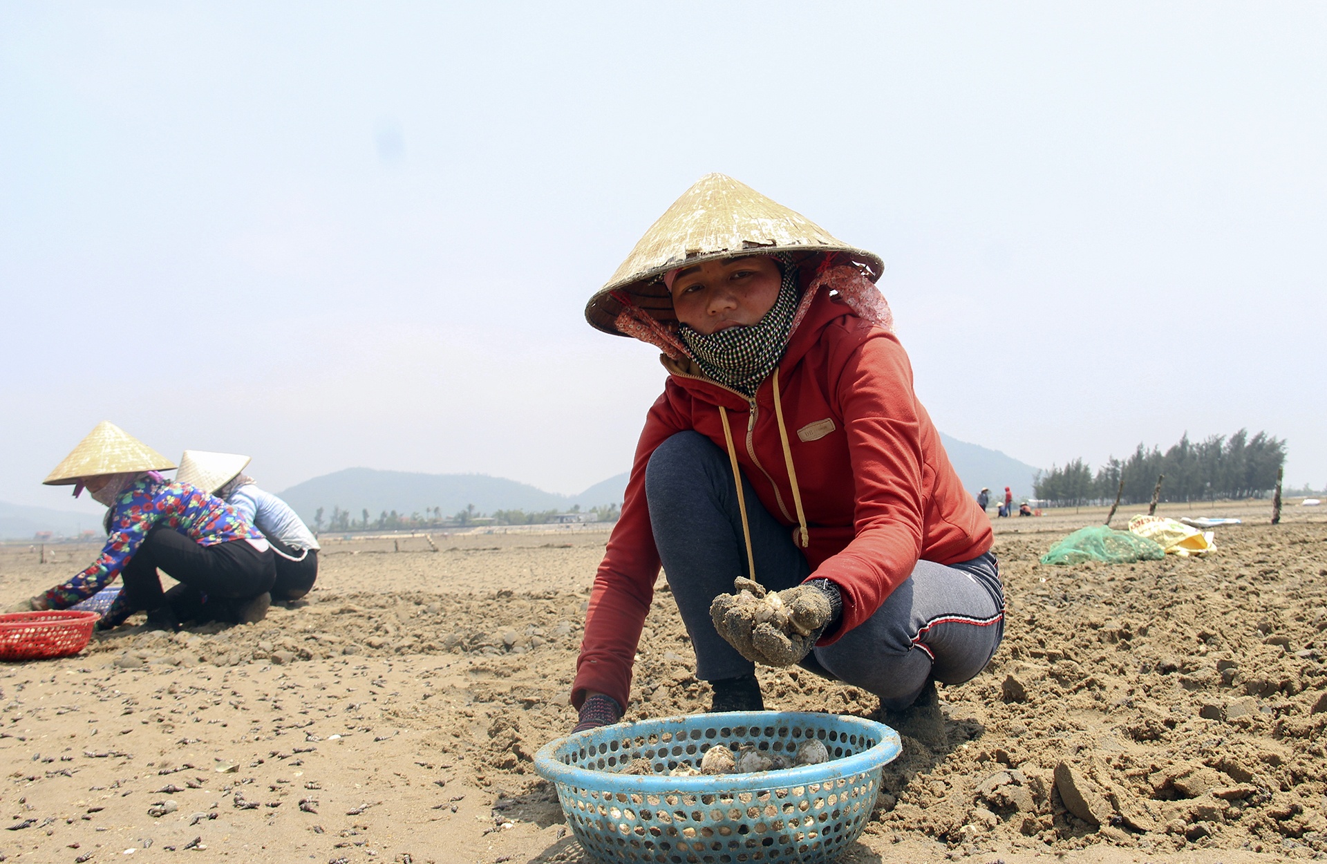 ngao chết trắng đầm ảnh 12 ngao chet trang dam anh 12