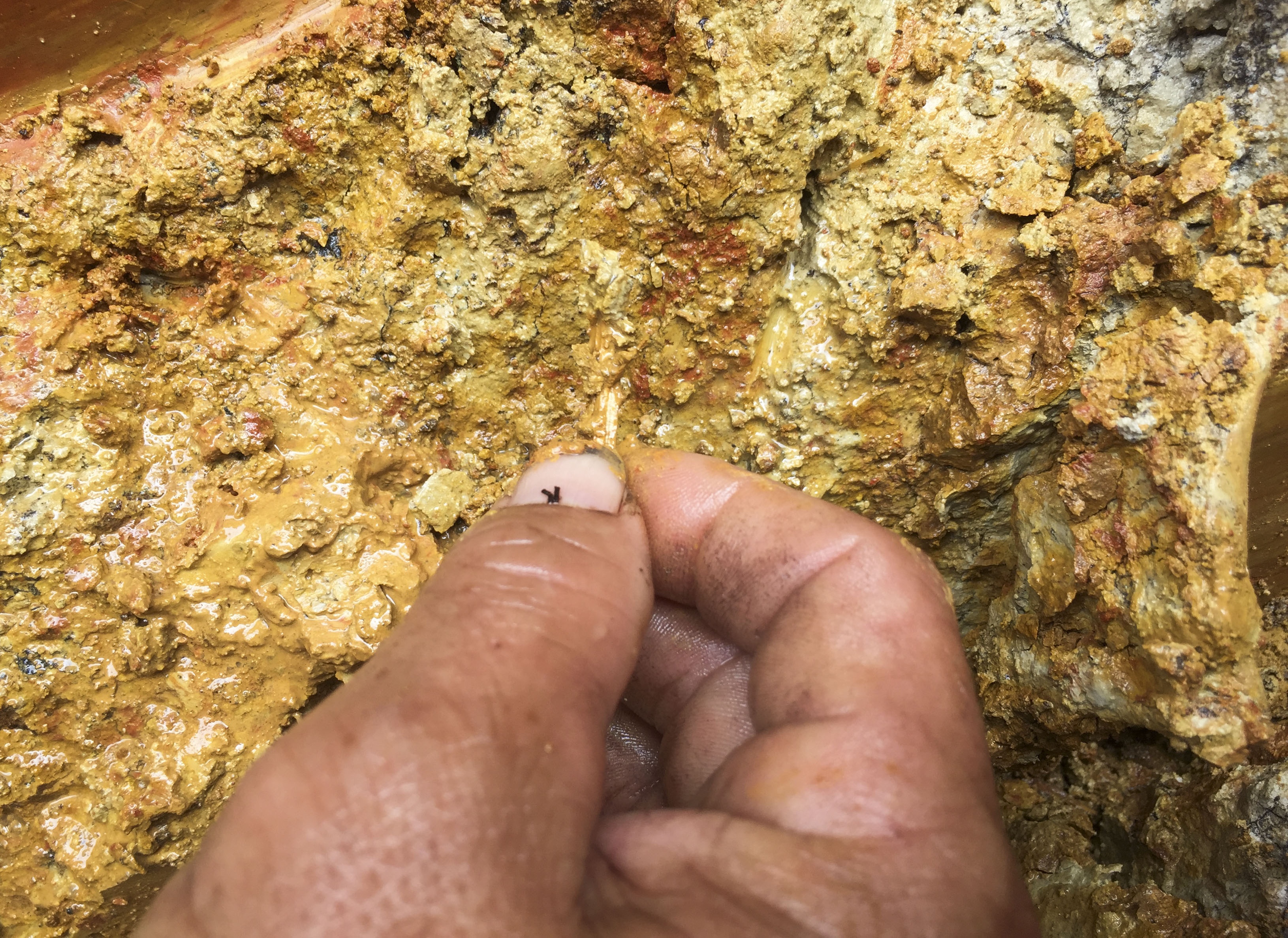 giếng nước nhiễm dầu ảnh 3 gieng nuoc nhiem dau anh 3