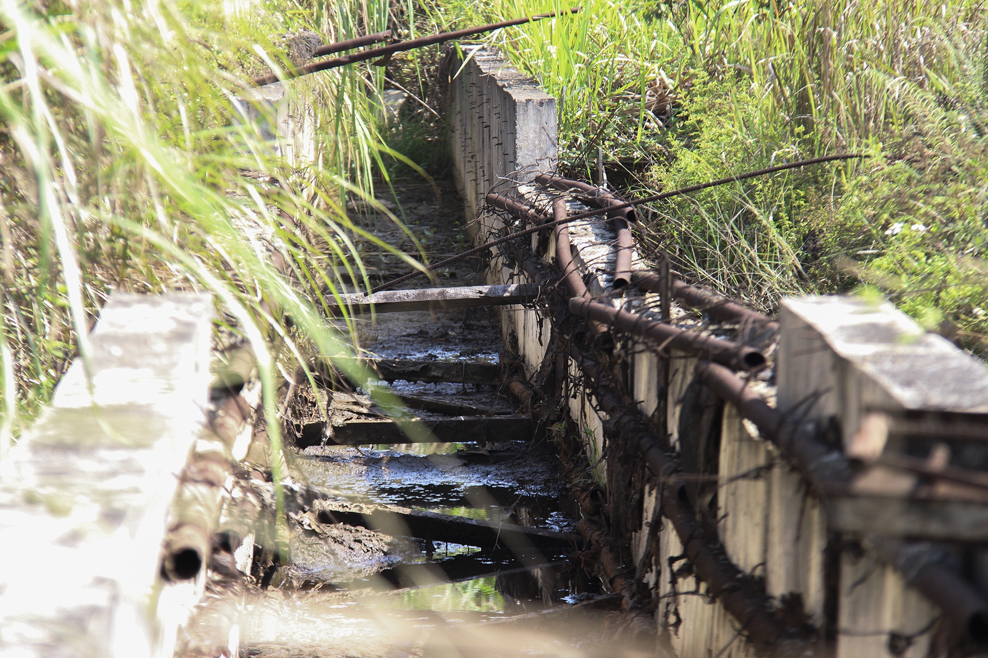 dự án thép nghìn tỷ bỏ hoang ảnh 14 du an thep nghin ty bo hoang anh 14