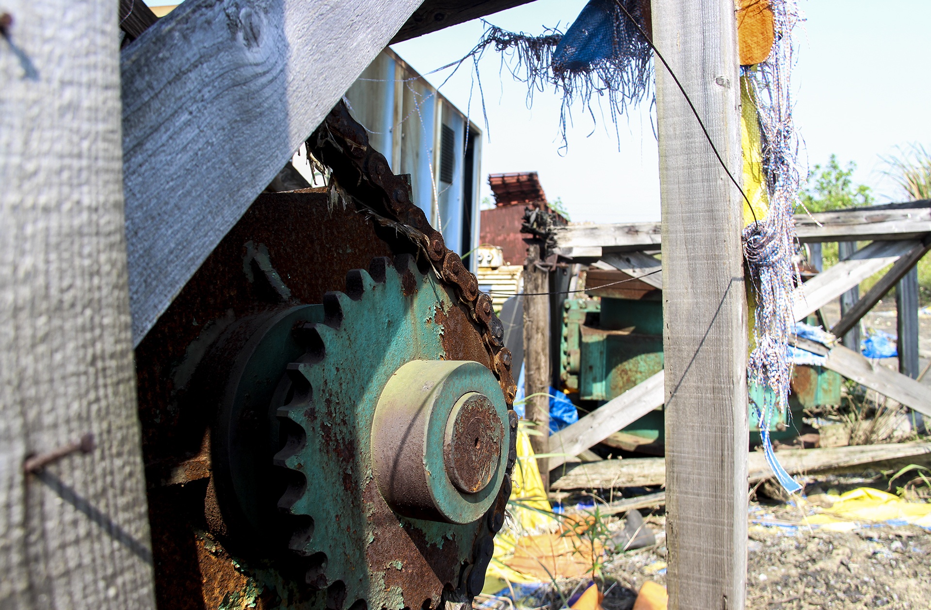 dự án thép nghìn tỷ bỏ hoang ảnh 7 du an thep nghin ty bo hoang anh 7