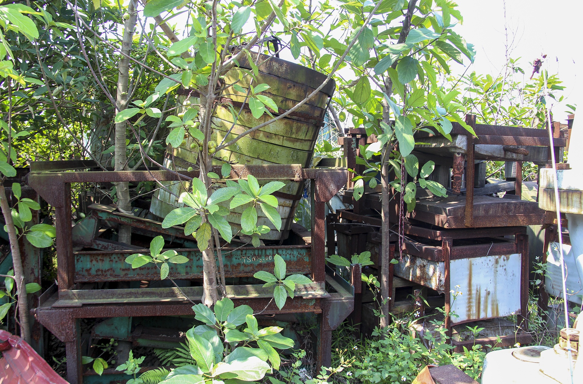 dự án thép nghìn tỷ bỏ hoang ảnh 15 du an thep nghin ty bo hoang anh 15