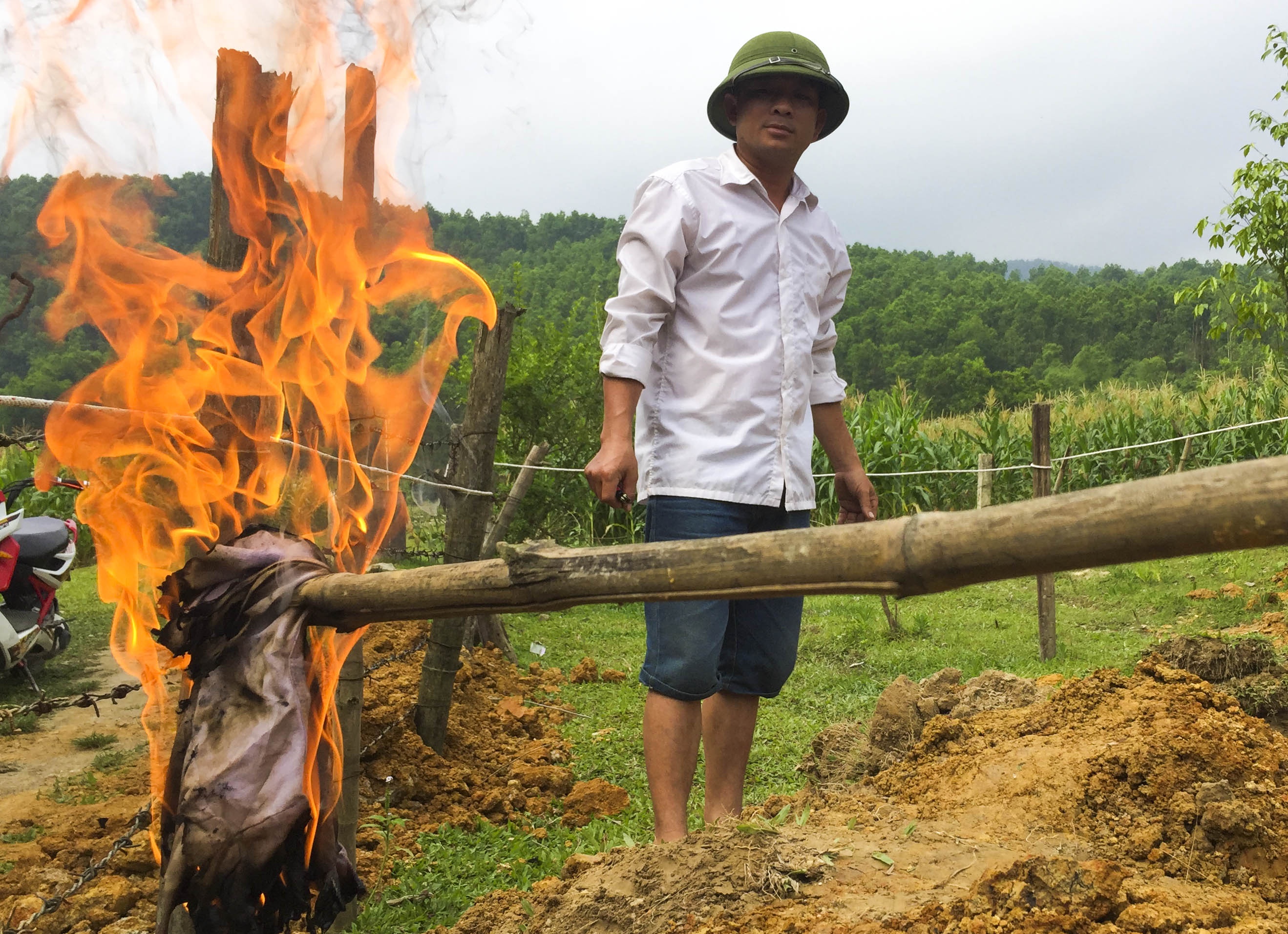 giếng nhiễm dầu diesel ảnh 2 gieng nhiem dau diesel anh 2