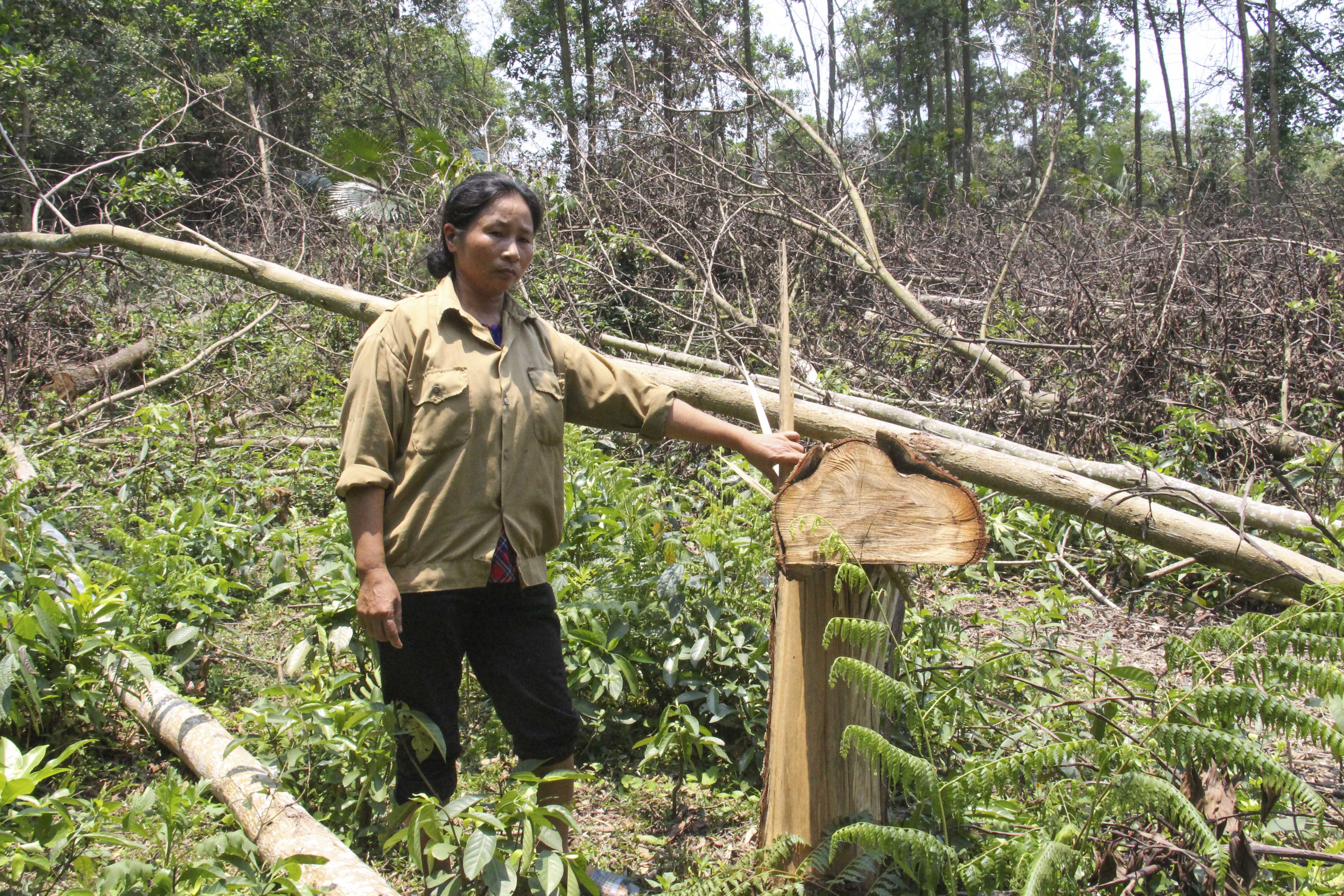 Giao dat chong cheo, xa giai quyet 10 nam chua xong hinh anh