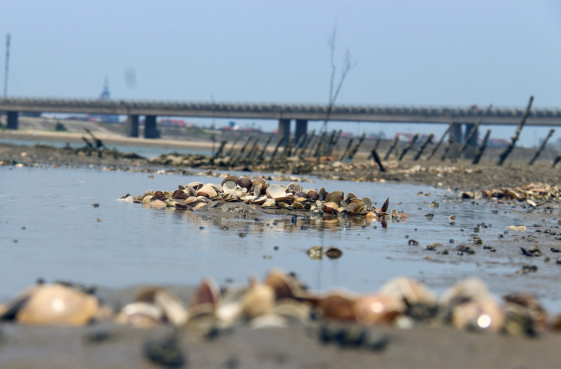 kỷ luật 5 cán bộ xã do sai phạm ảnh 1 ky luat 5 can bo xa do sai pham anh 1