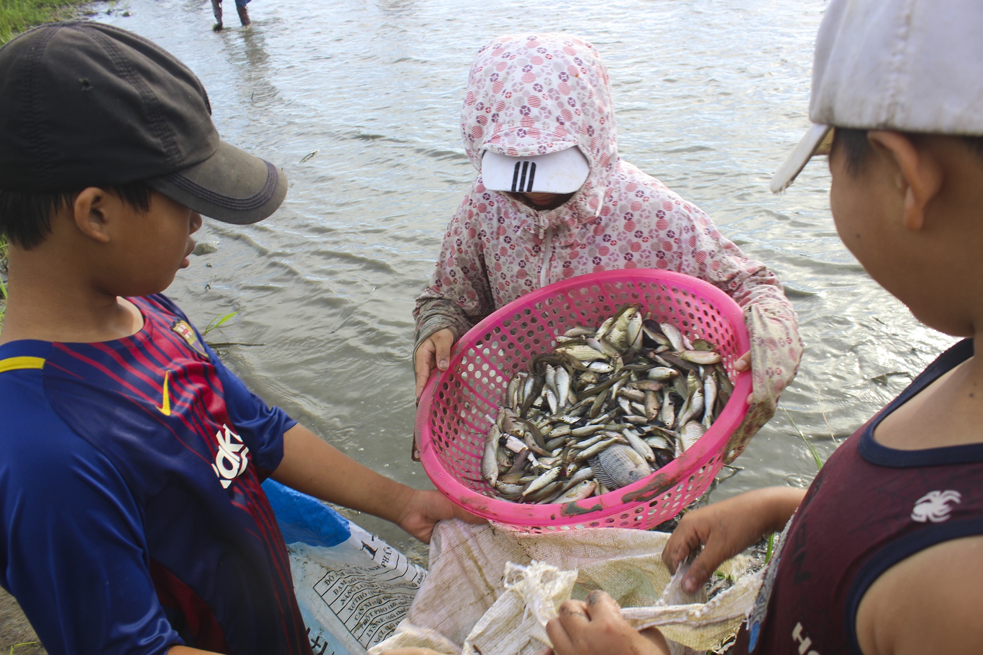 le hoi danh bat ca anh 8