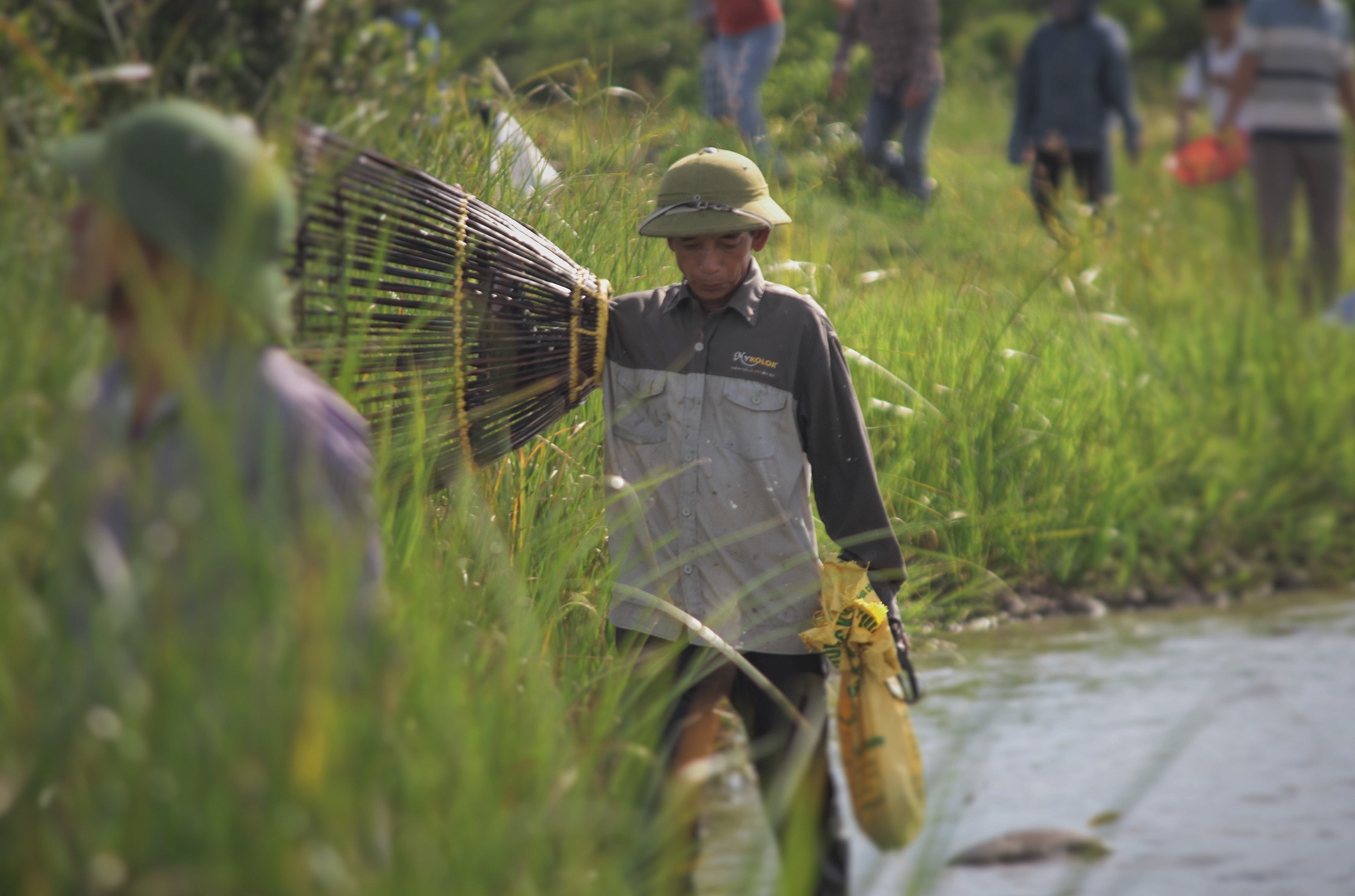 le hoi danh bat ca anh 7