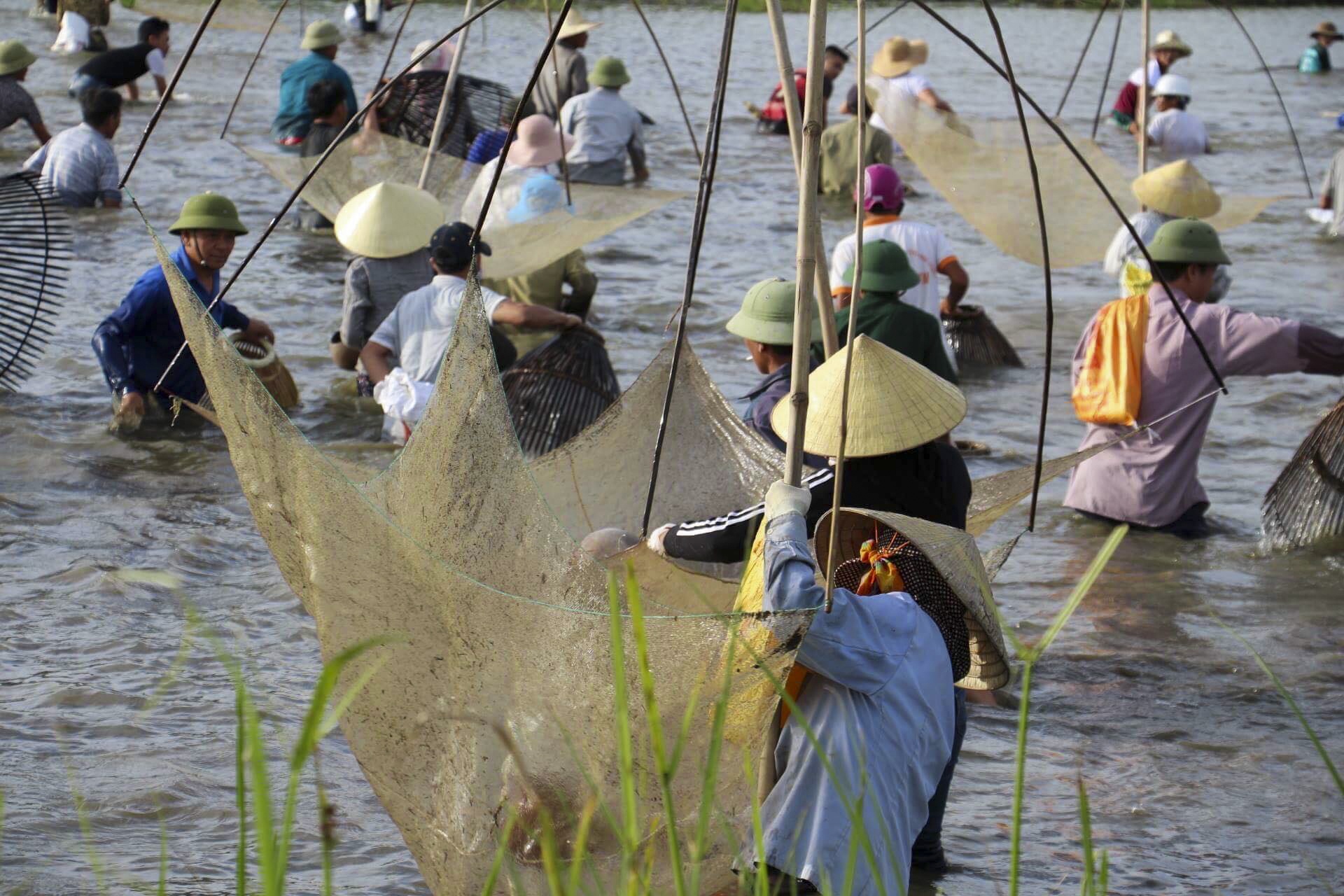 le hoi danh bat ca anh 4