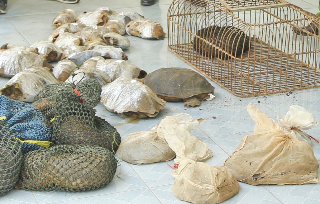 tuon dong vat quy hiem anh 1