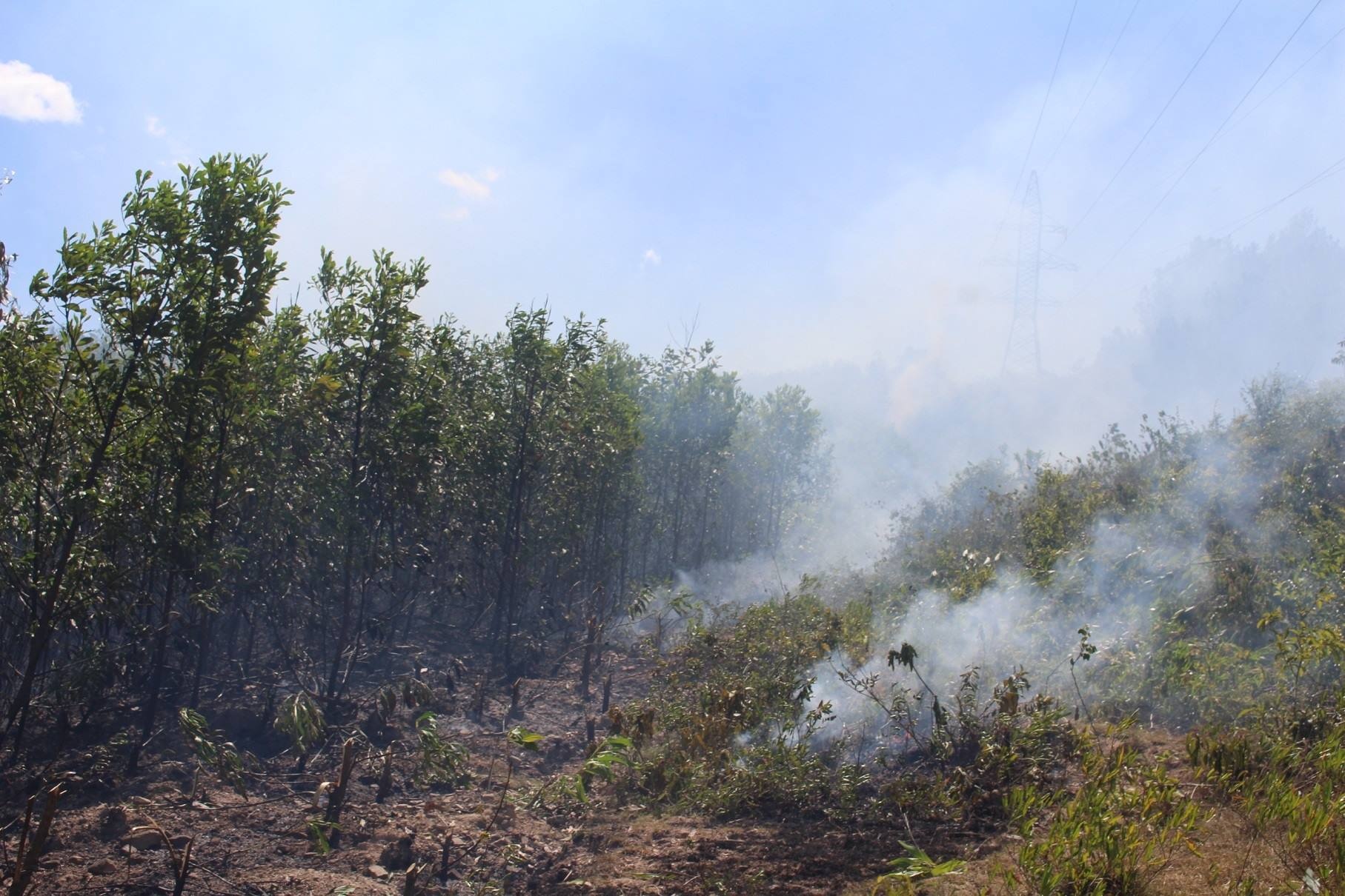 chet chay khi dap lua anh 1