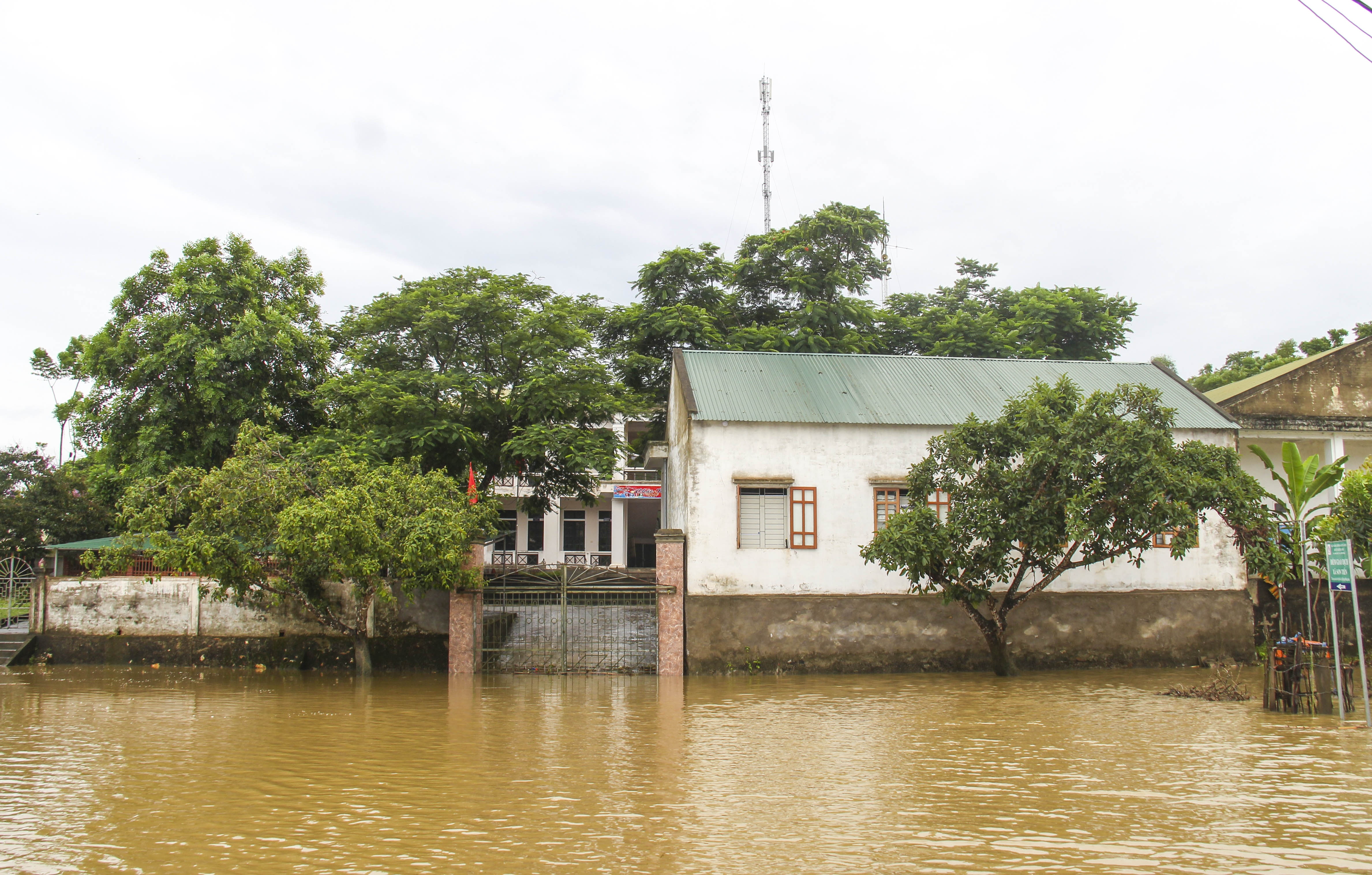 nhieu noi ngap sau do lu anh 1