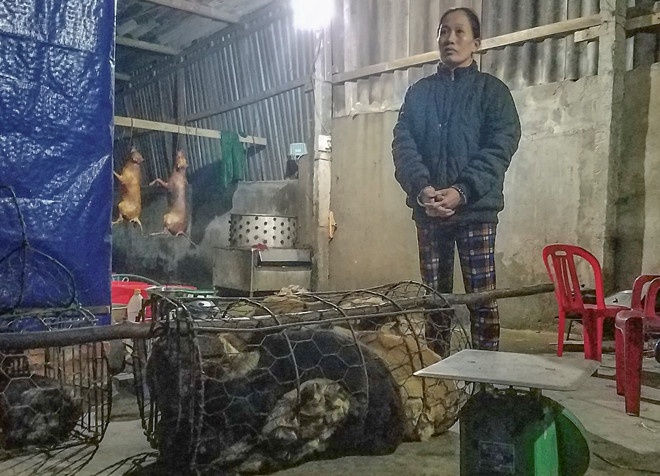 bắt hai thanh niên trộm chó ảnh 1 bat hai thanh nien trom cho anh 1