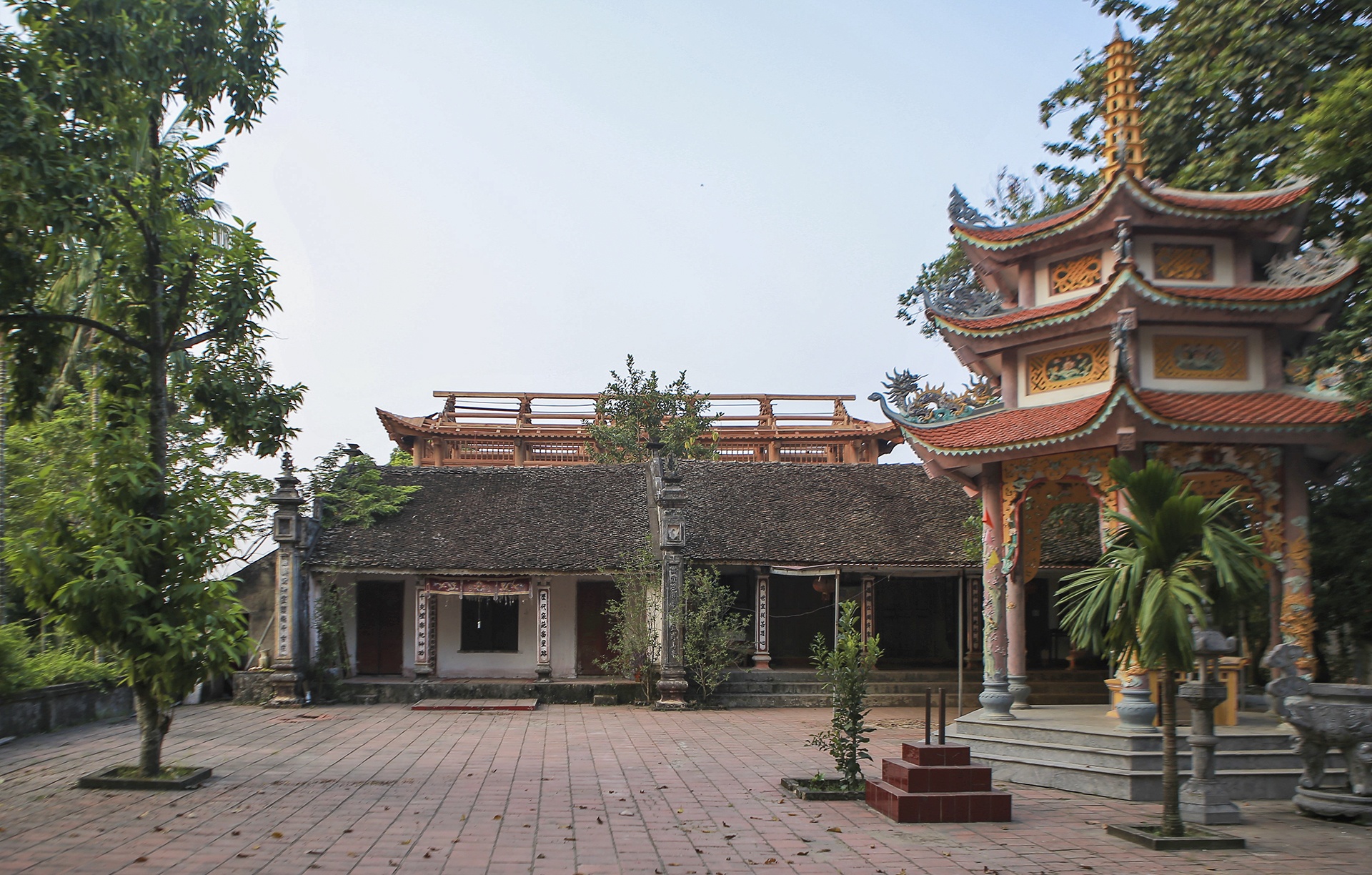 cay sua tram tuoi anh 13