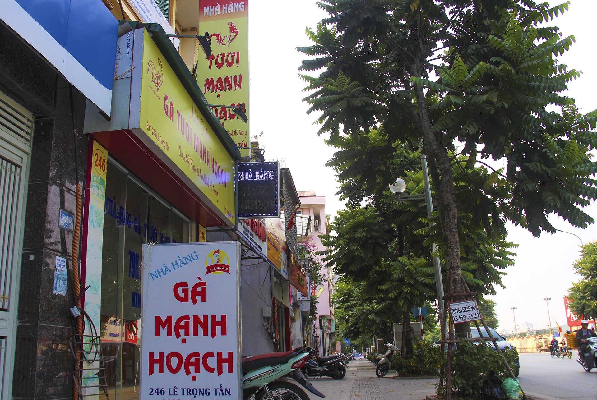 Bien hieu kieu mau anh 6