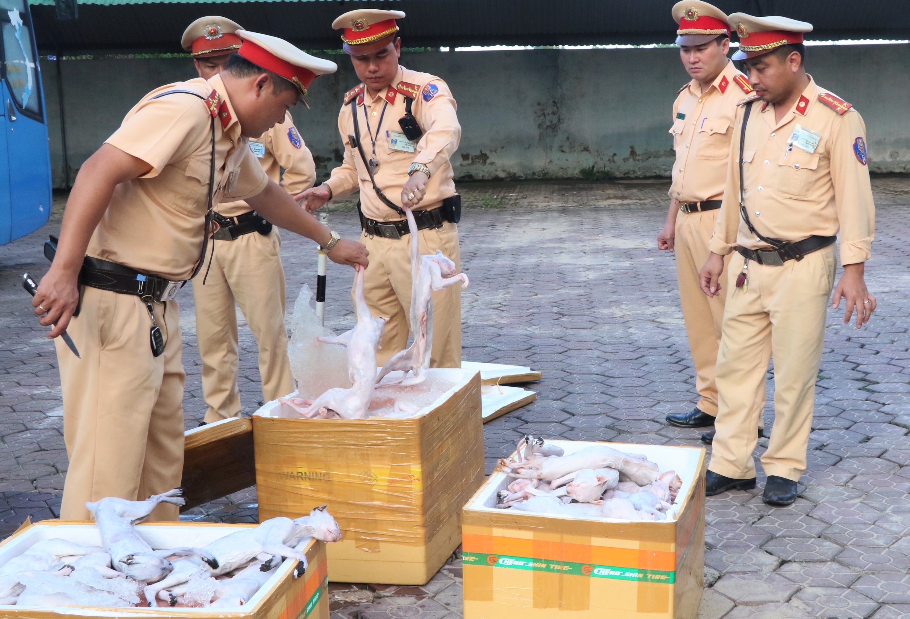 Phat hien 900 kg thit meo duoi gam xe khach hinh anh