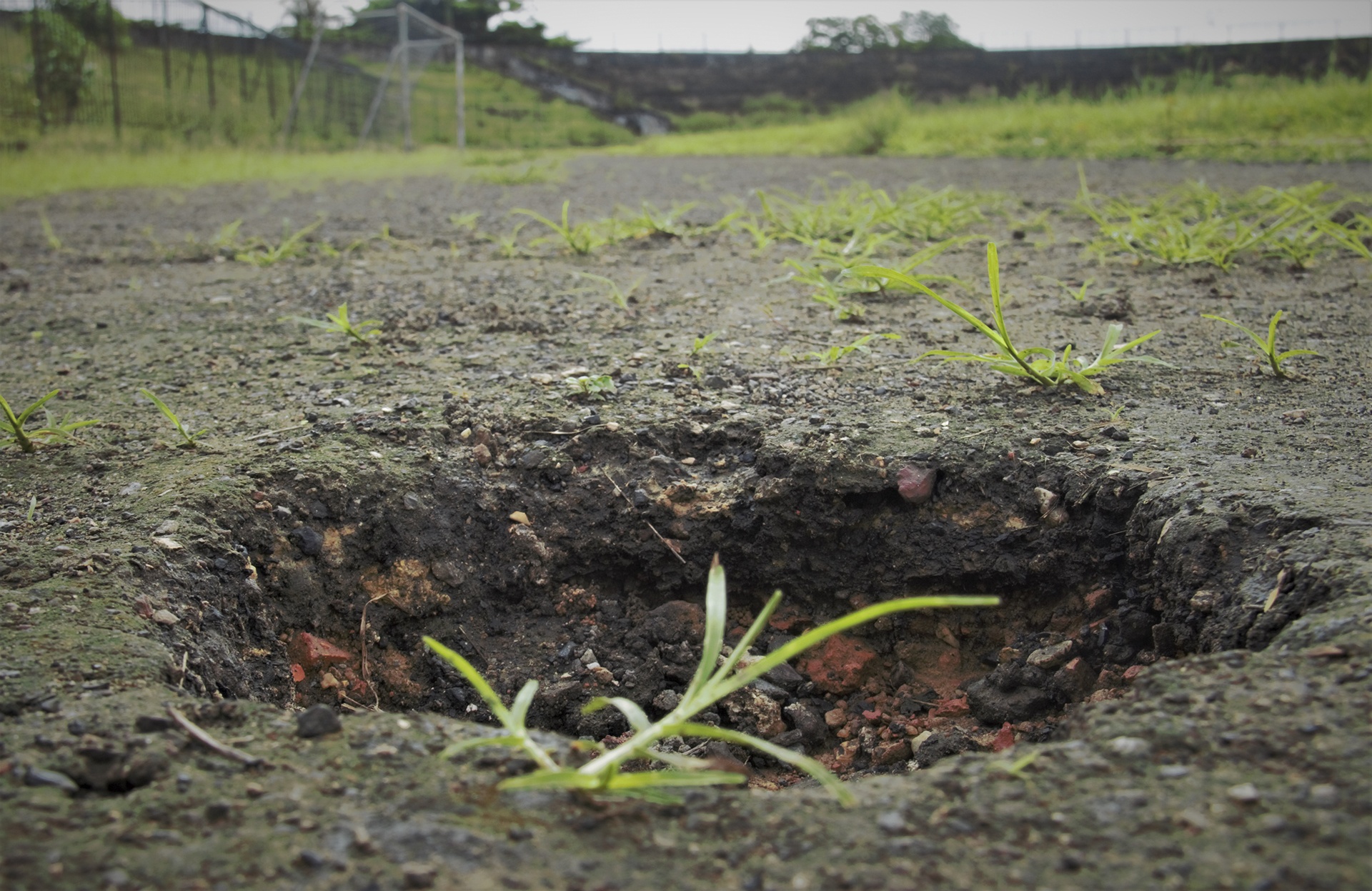 san van dong bo hoang anh 11