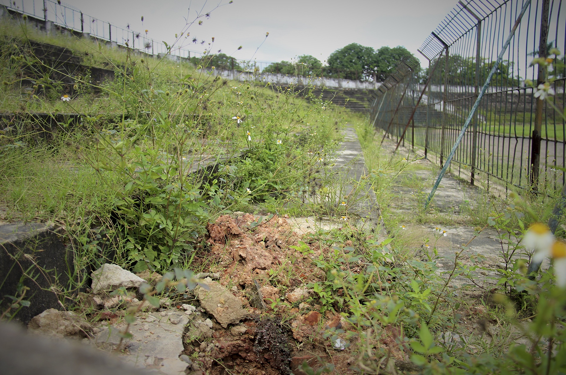 san van dong bo hoang anh 7