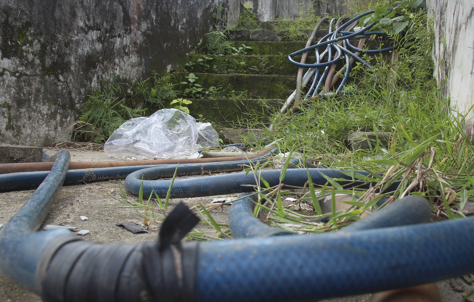 san van dong bo hoang anh 8