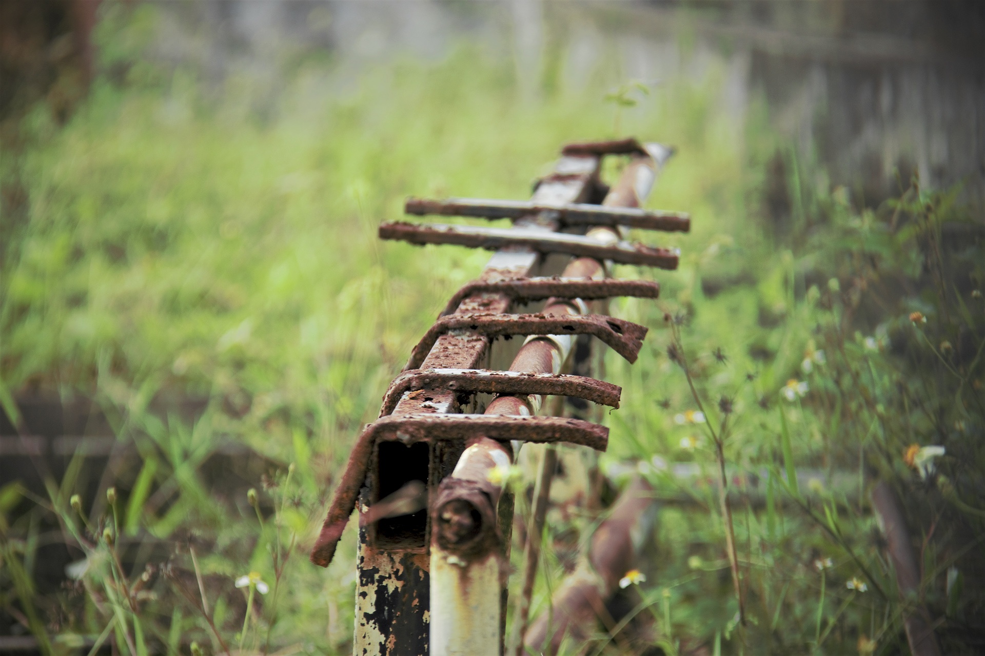 san van dong bo hoang anh 10