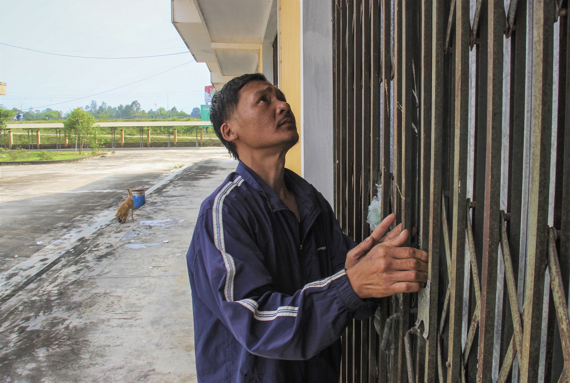 cho tien ty e am anh 11