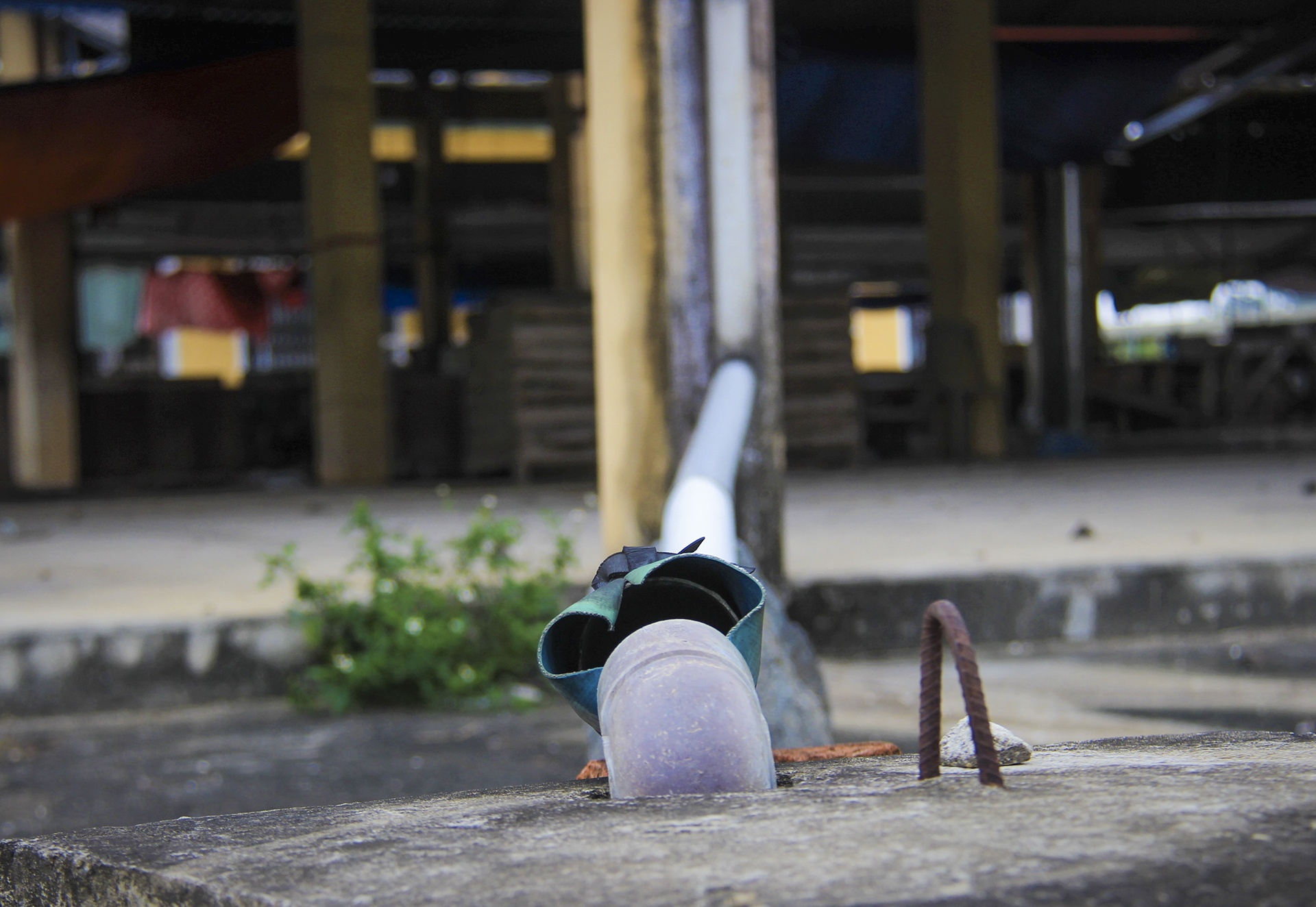 cho tien ty e am anh 10