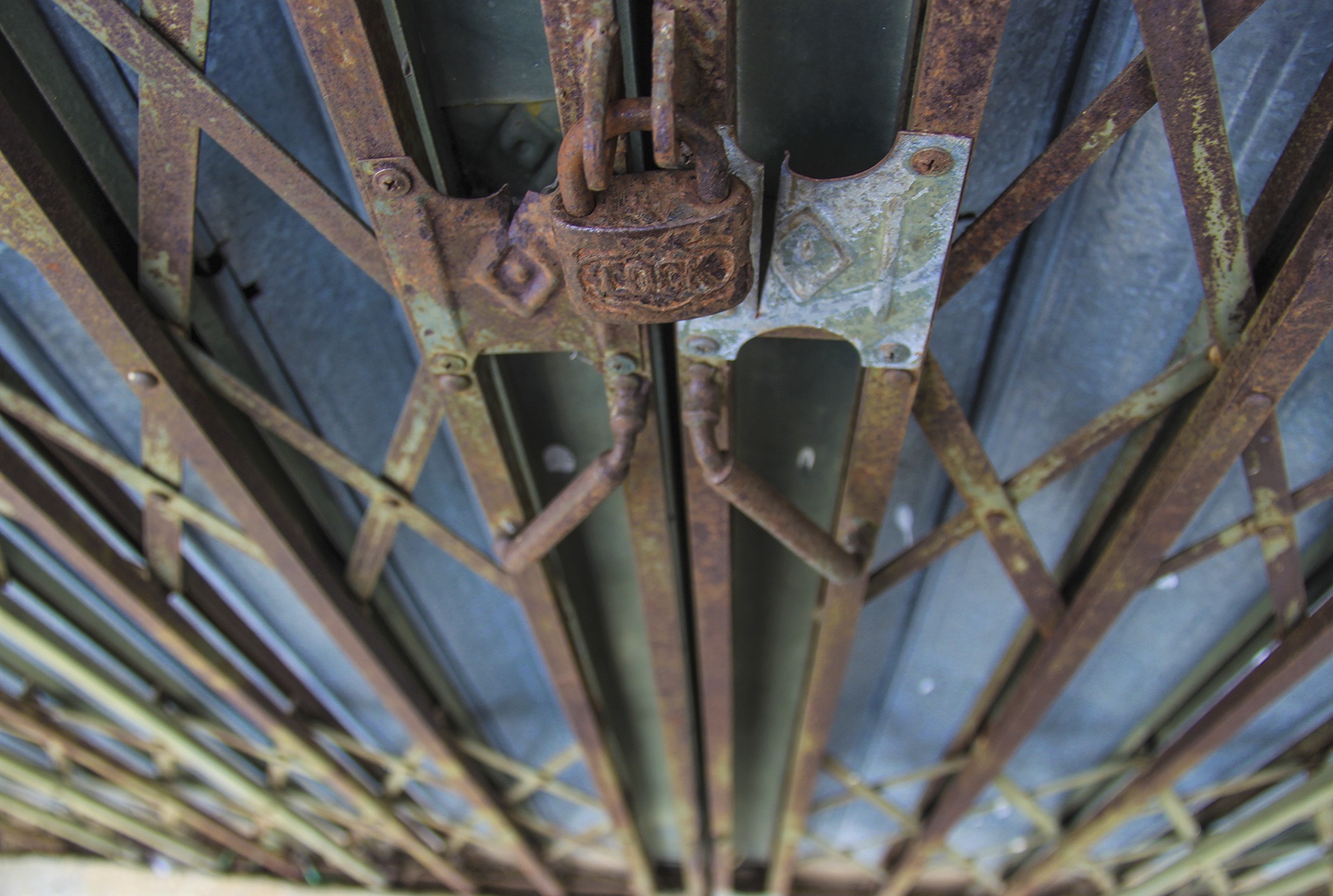 cho tien ty e am anh 8