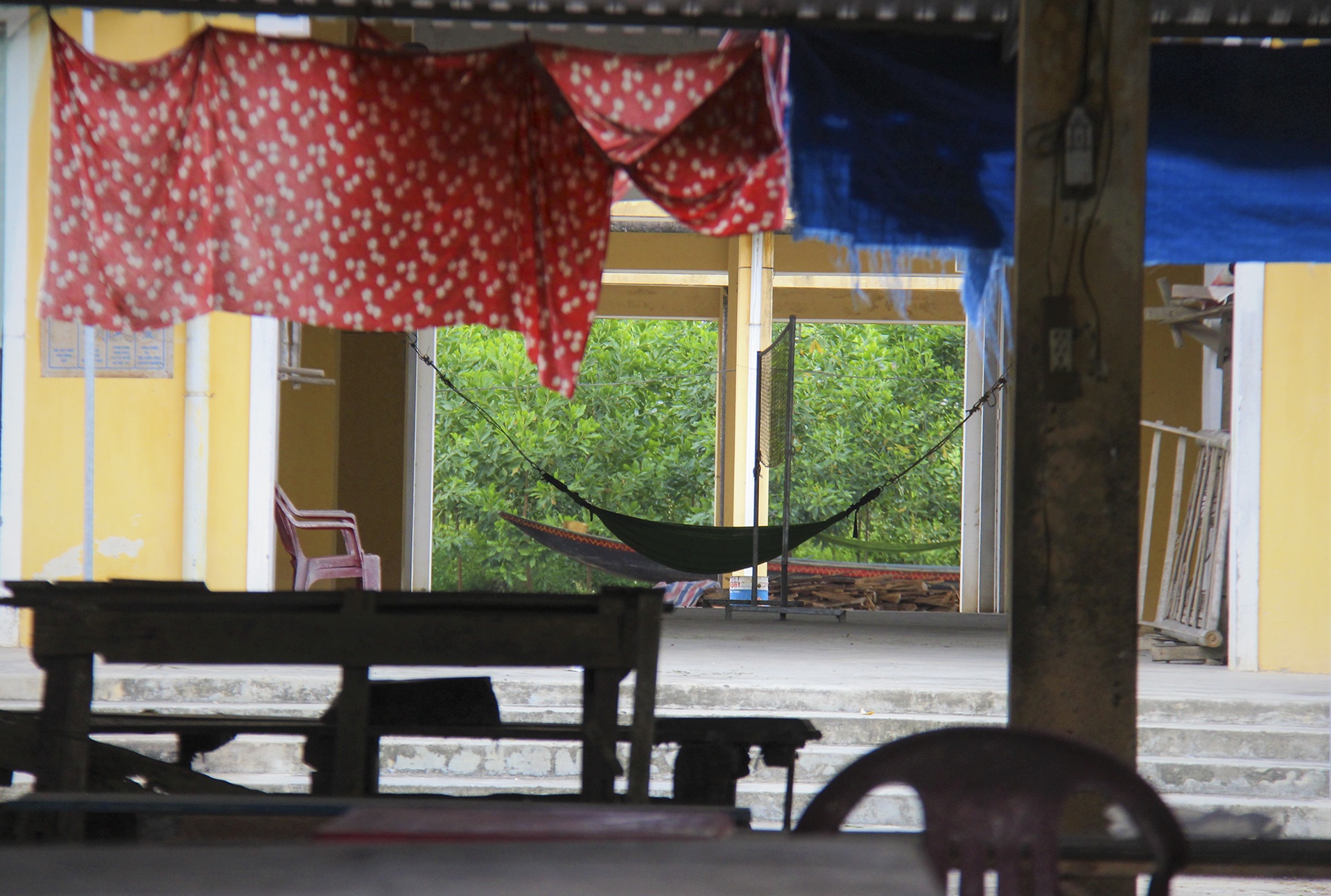 cho tien ty e am anh 5