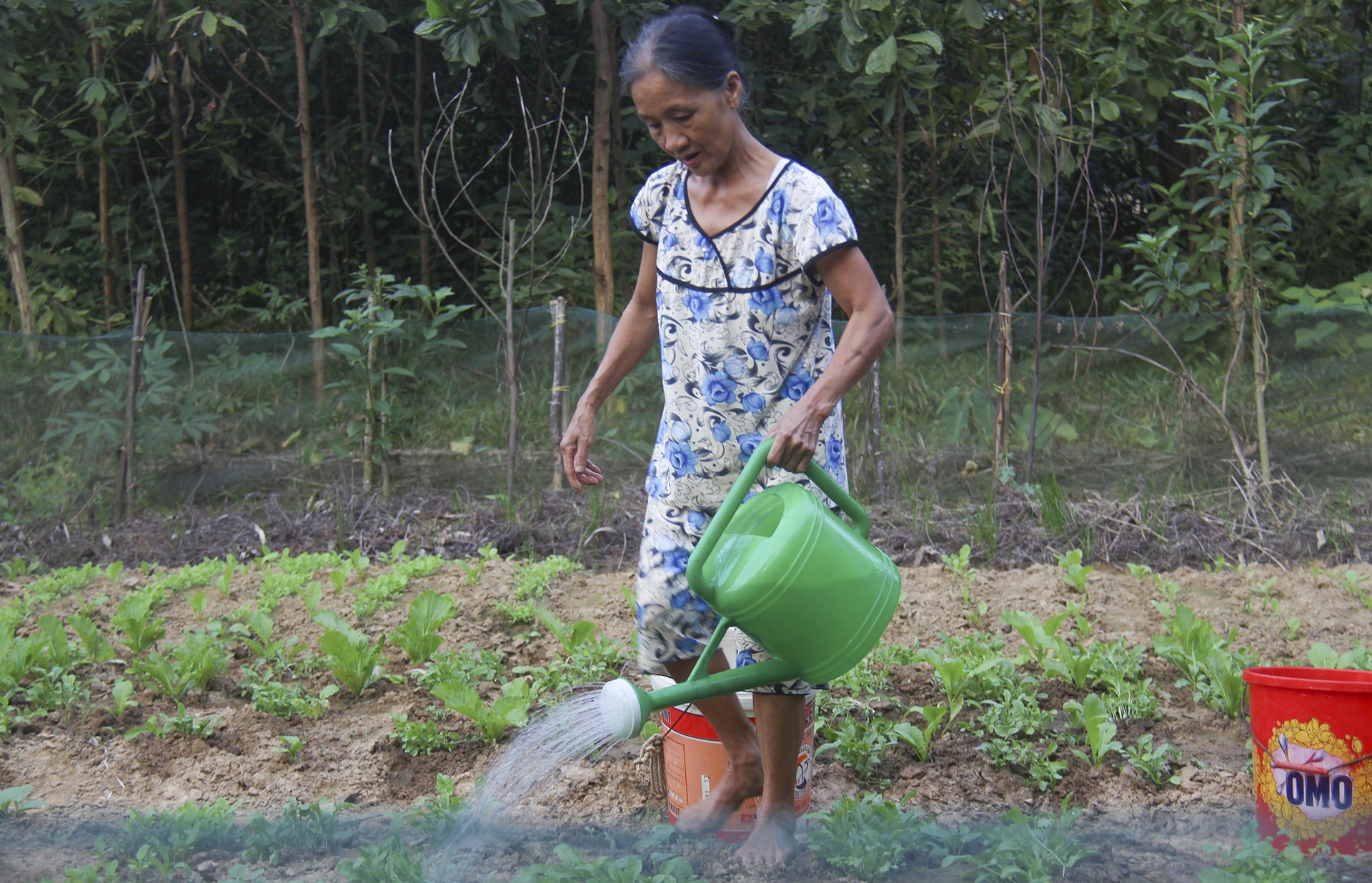 thầy giáo làng khuyết tật ảnh 7 thay giao lang khuyet tat anh 7