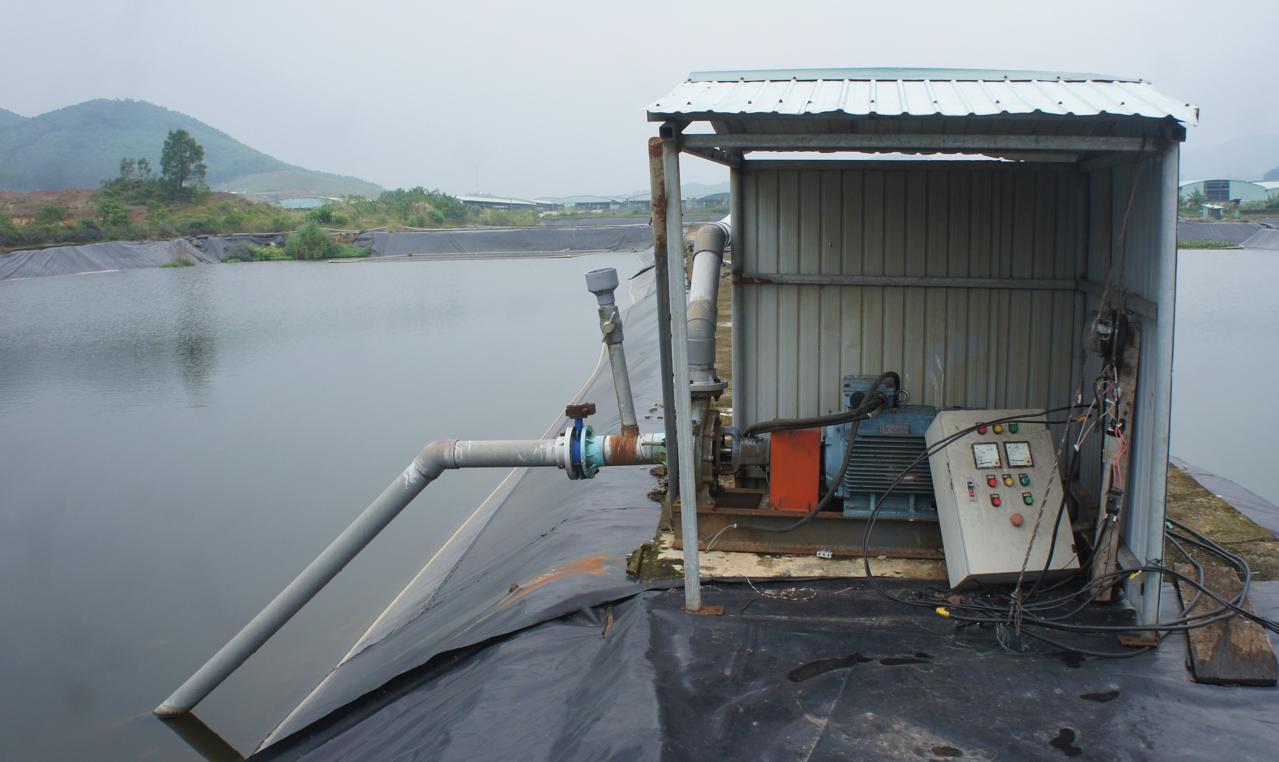 Du an chan nuoi bo Binh Ha anh 9