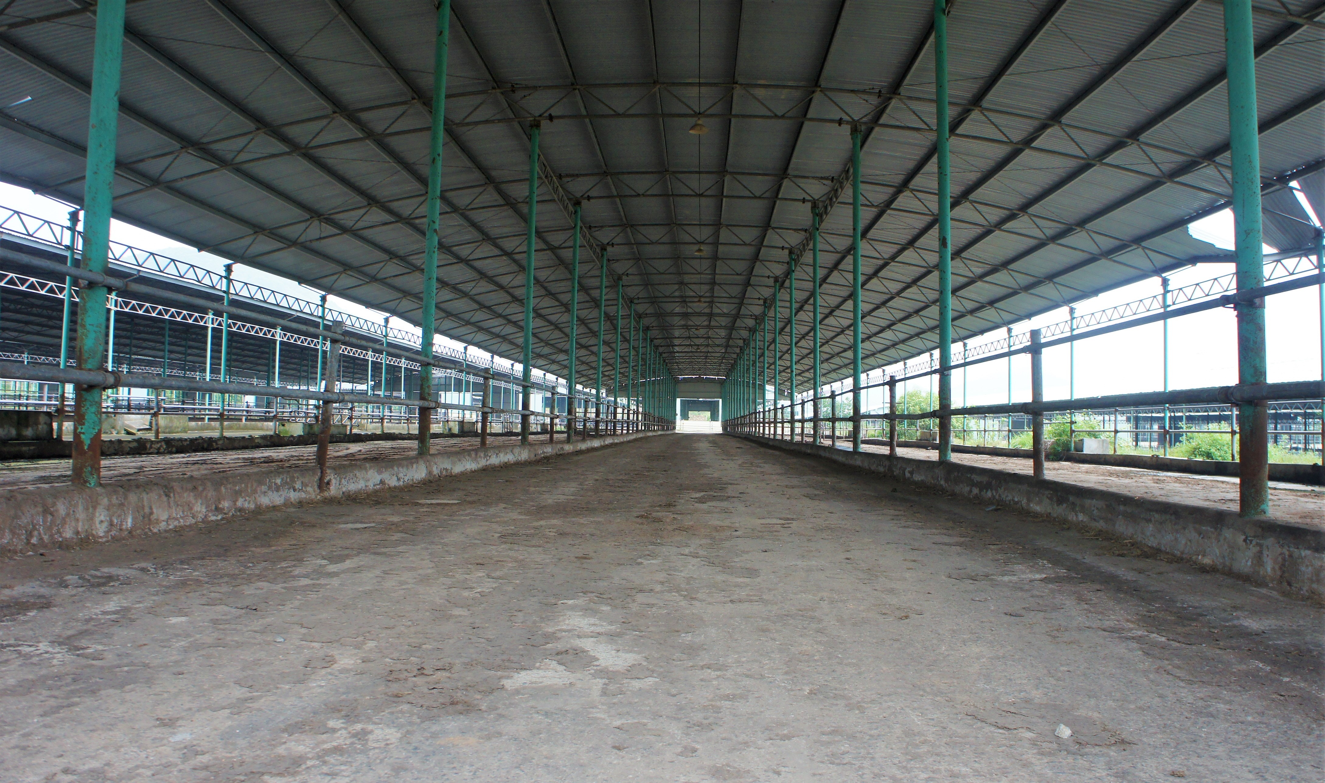 Du an chan nuoi bo Binh Ha anh 4