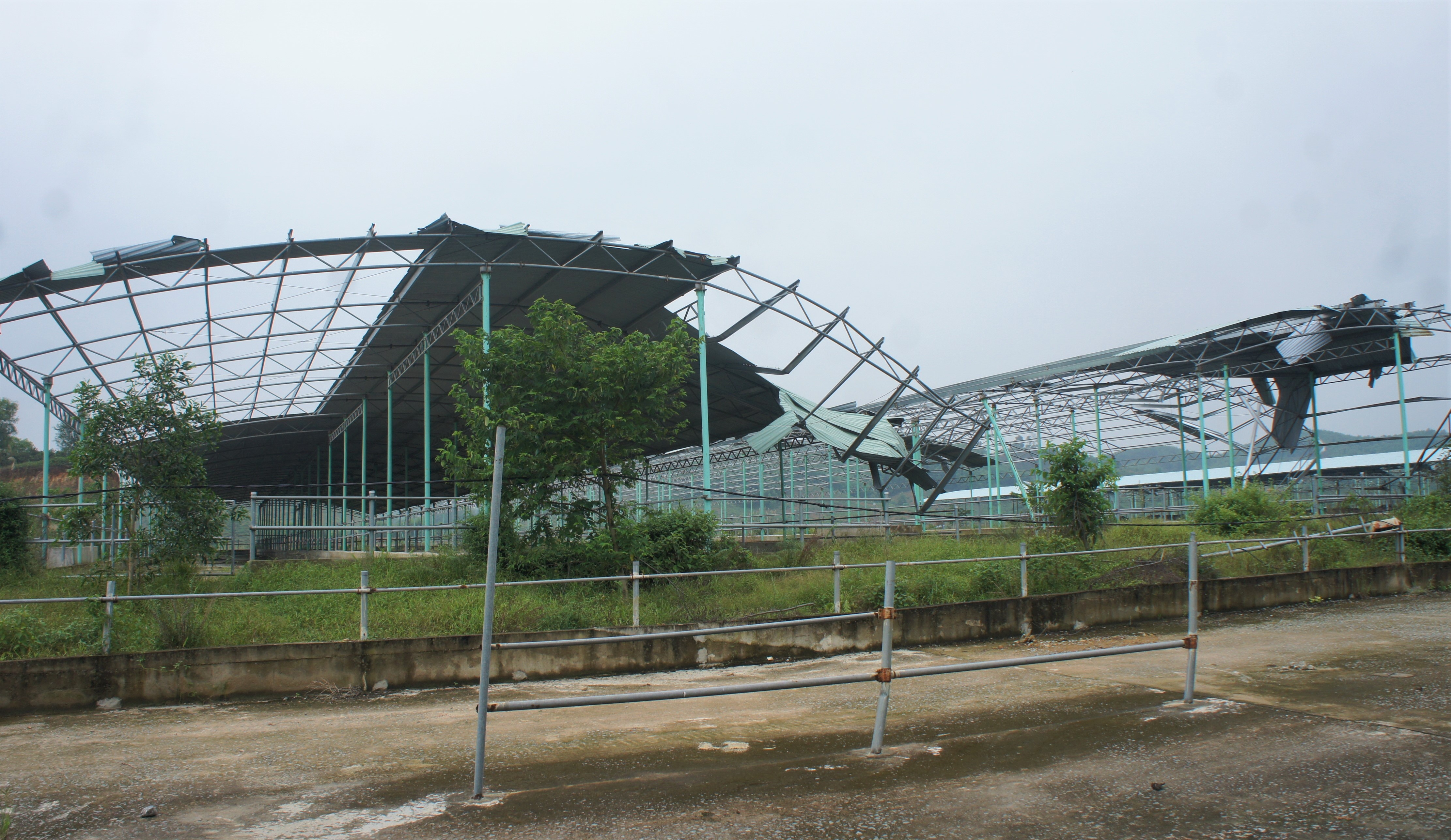 Du an chan nuoi bo Binh Ha anh 10