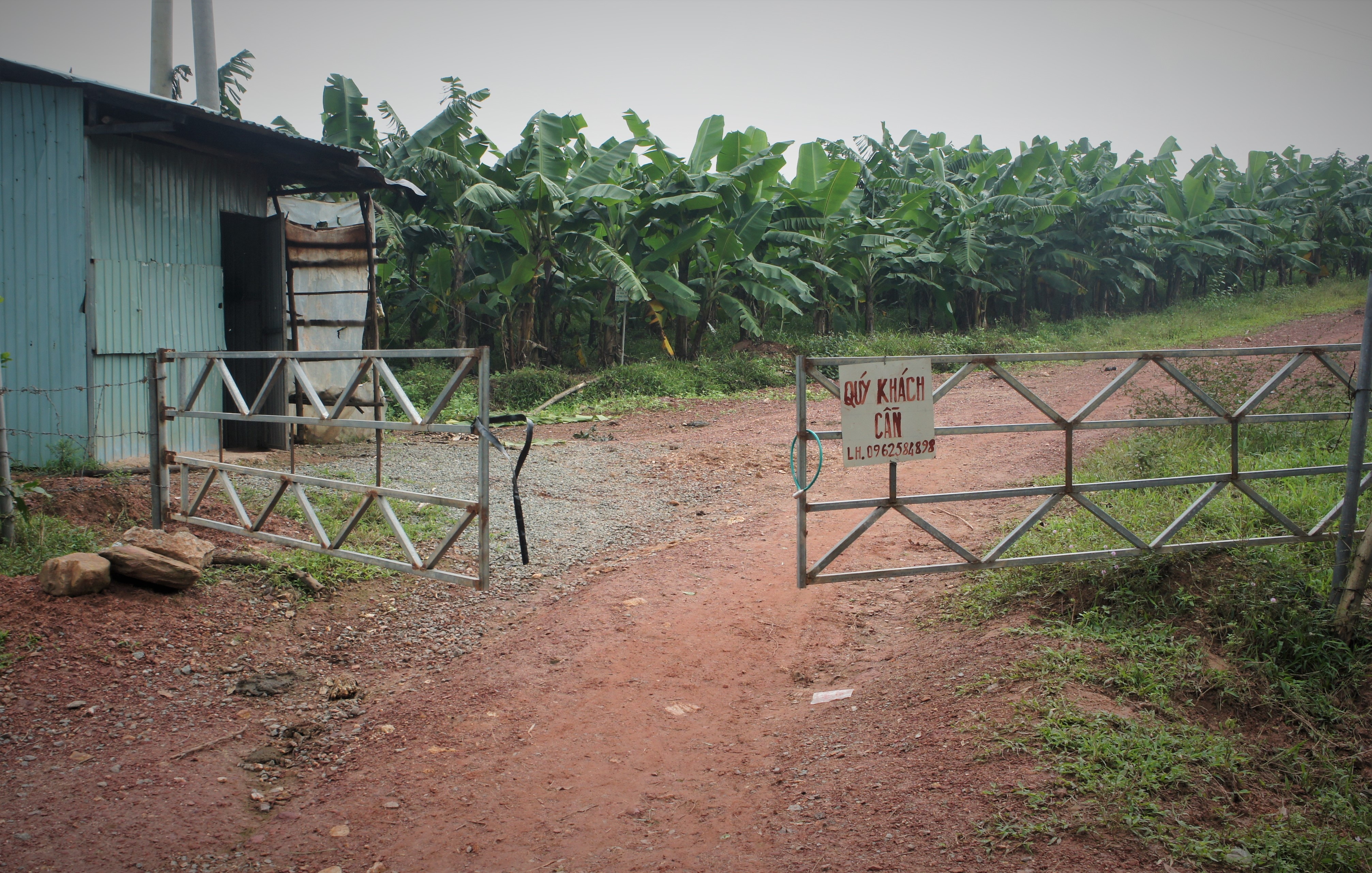 Du an chan nuoi bo Binh Ha anh 13
