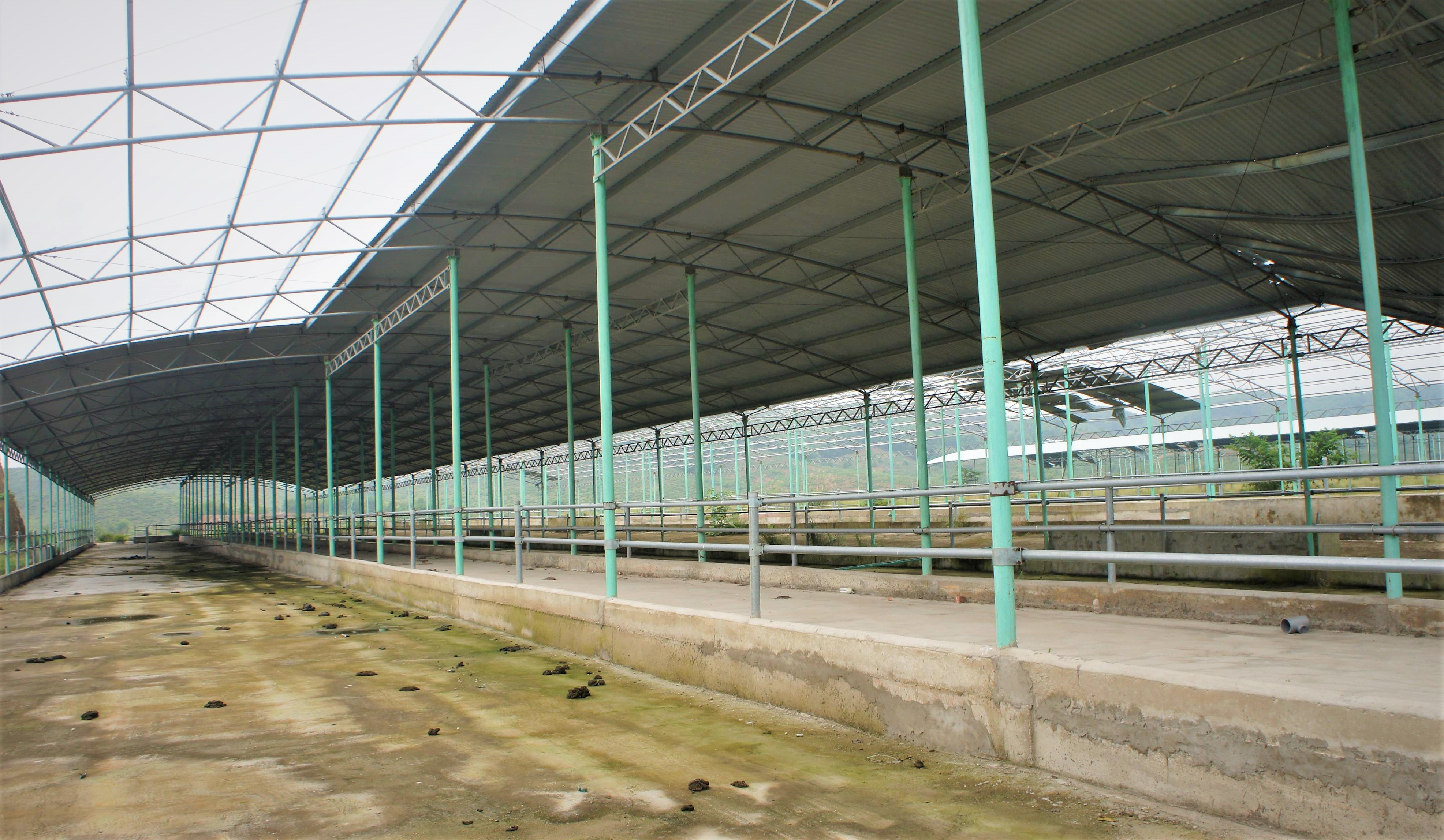 Du an chan nuoi bo Binh Ha anh 3