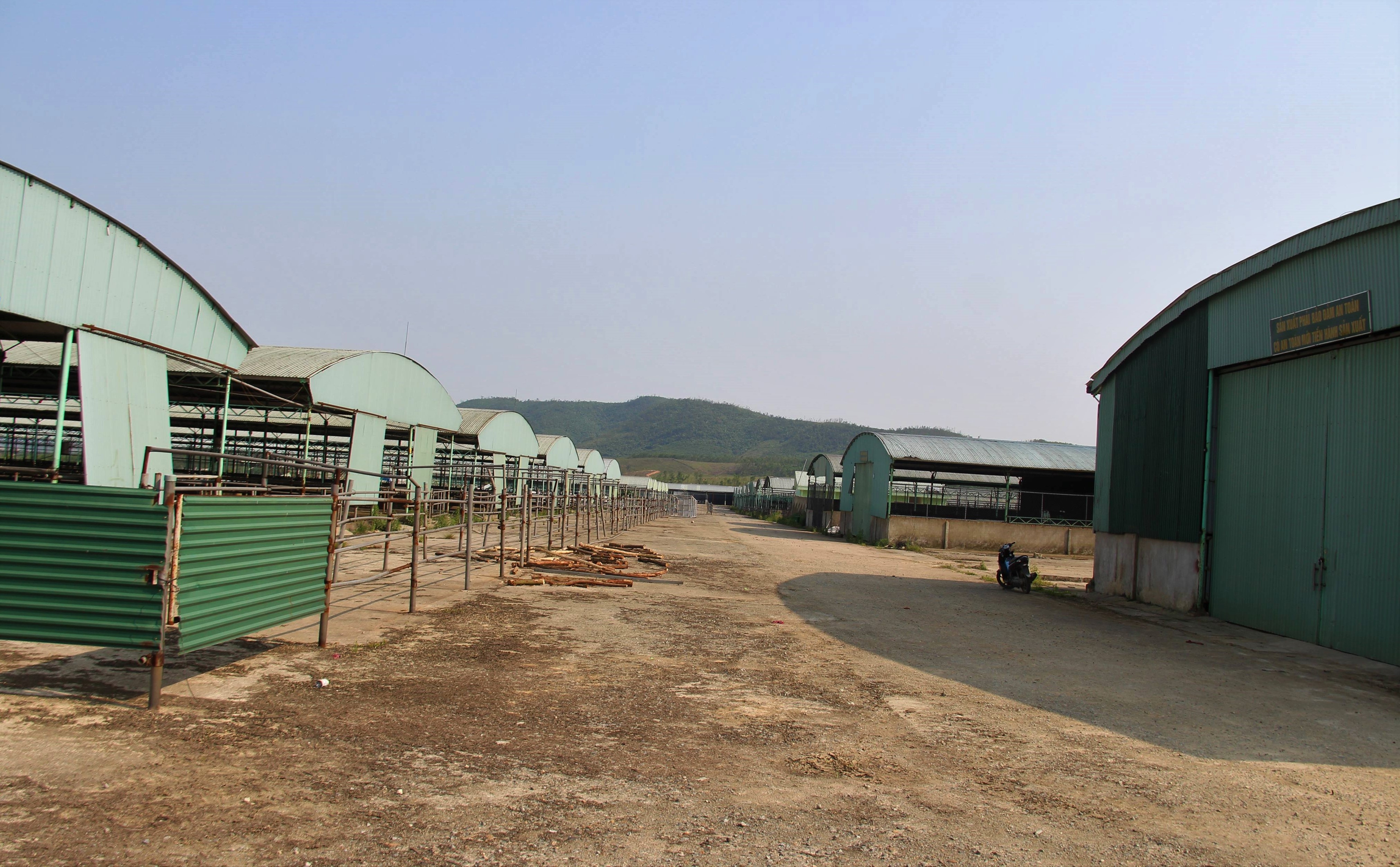 Du an chan nuoi bo Binh Ha anh 2