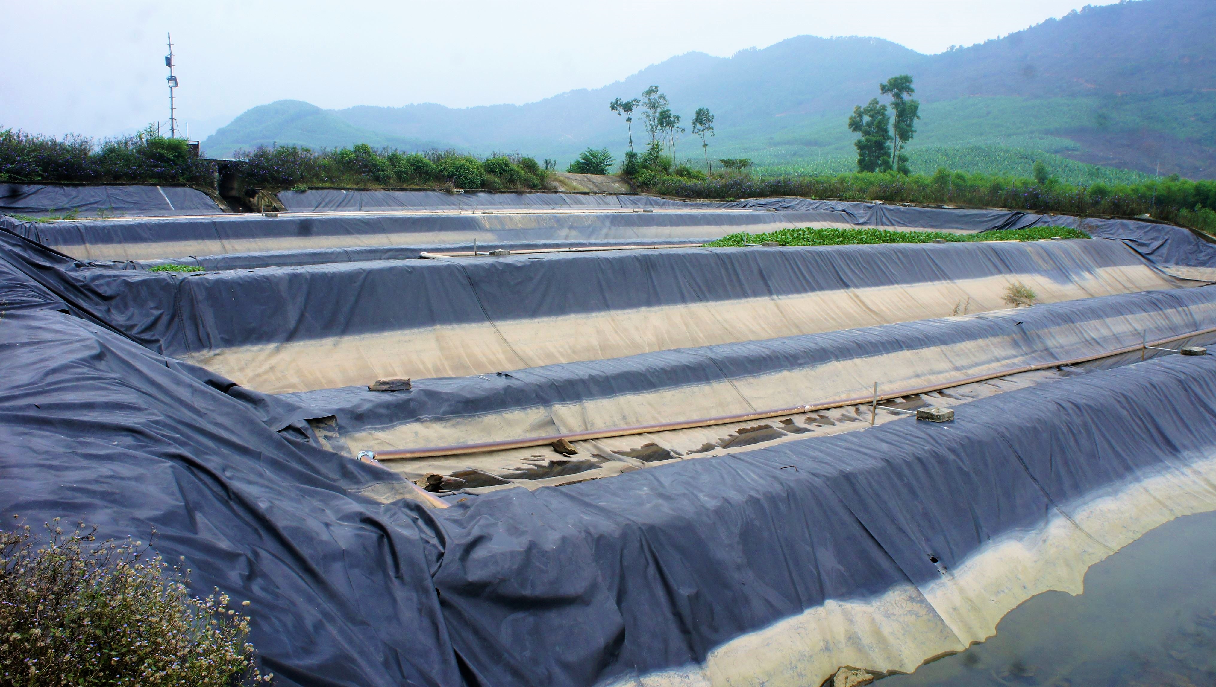 Du an chan nuoi bo Binh Ha anh 8