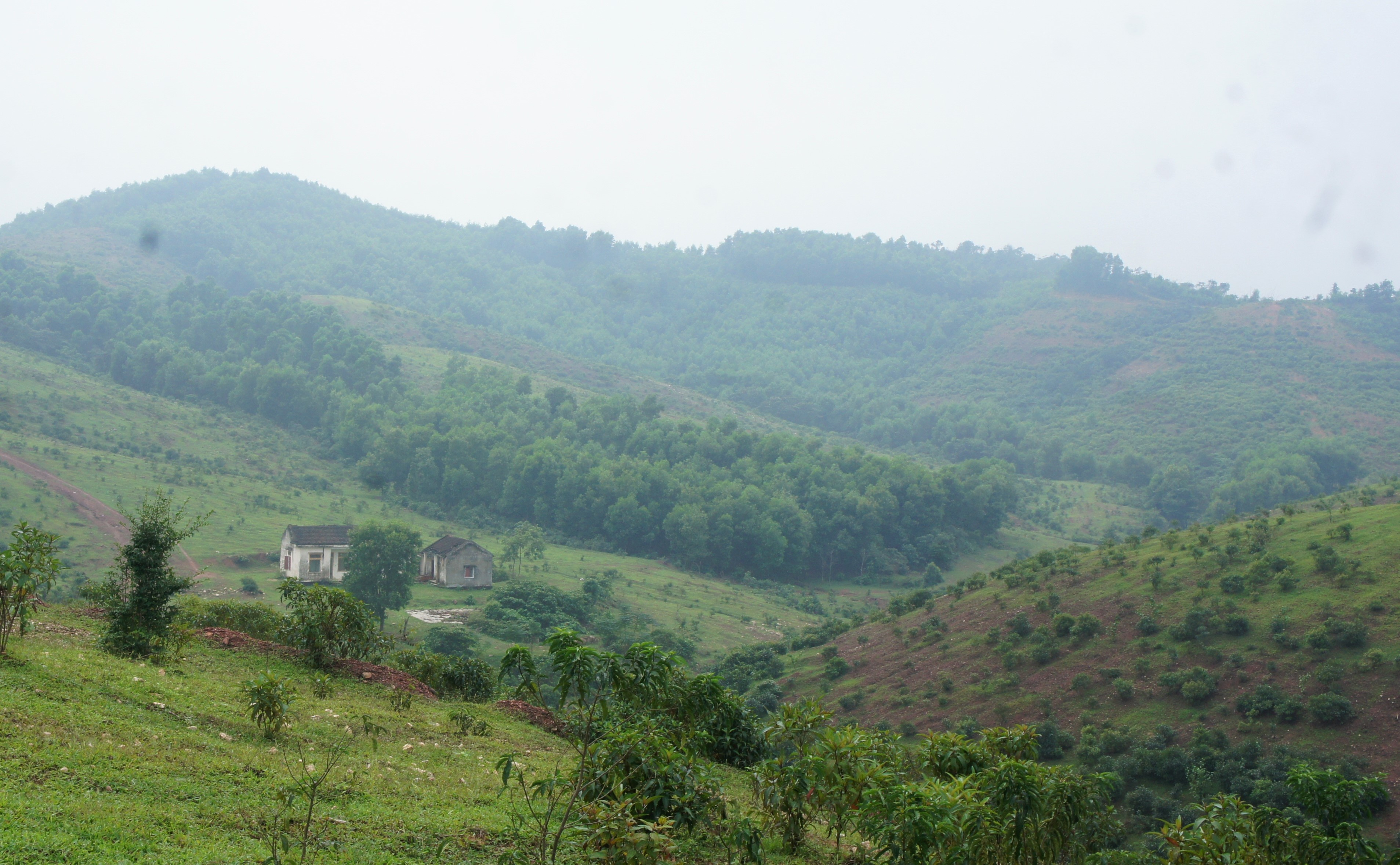 Du an chan nuoi bo Binh Ha anh 12
