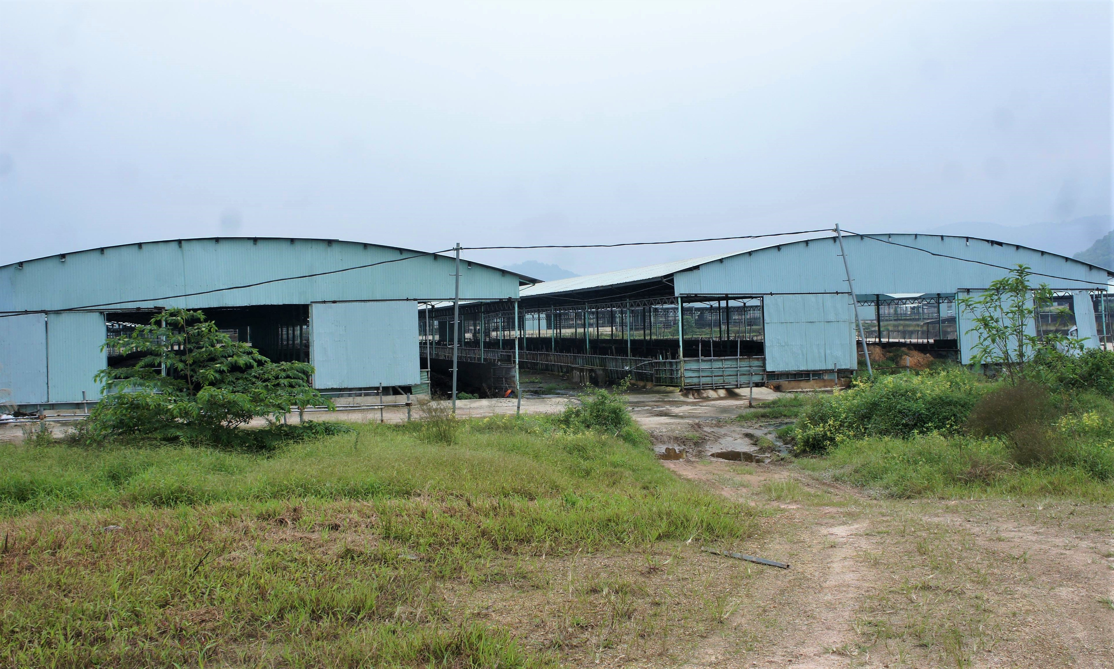 Du an chan nuoi bo Binh Ha anh 5