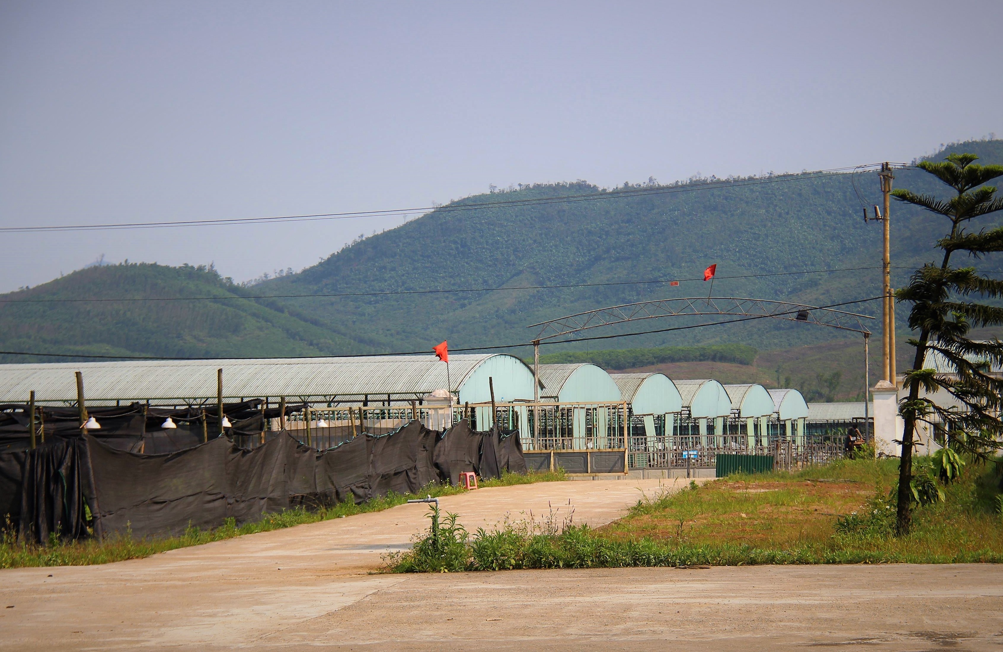 Du an chan nuoi bo Binh Ha anh 1