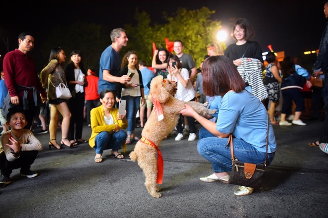 CDV an mung chien thang Viet Nam anh 3