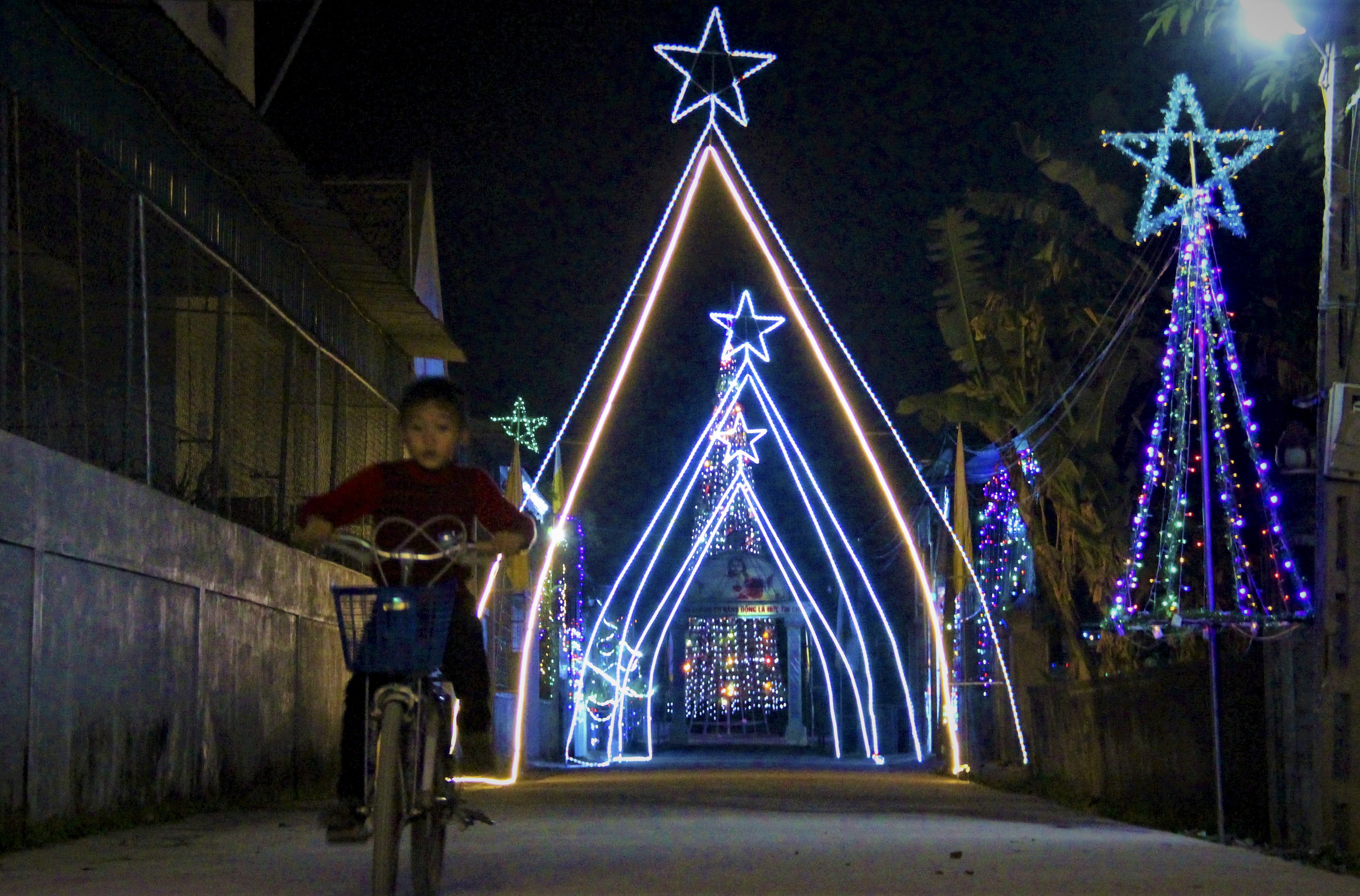 Cay thong noel bang hanh tam anh 13