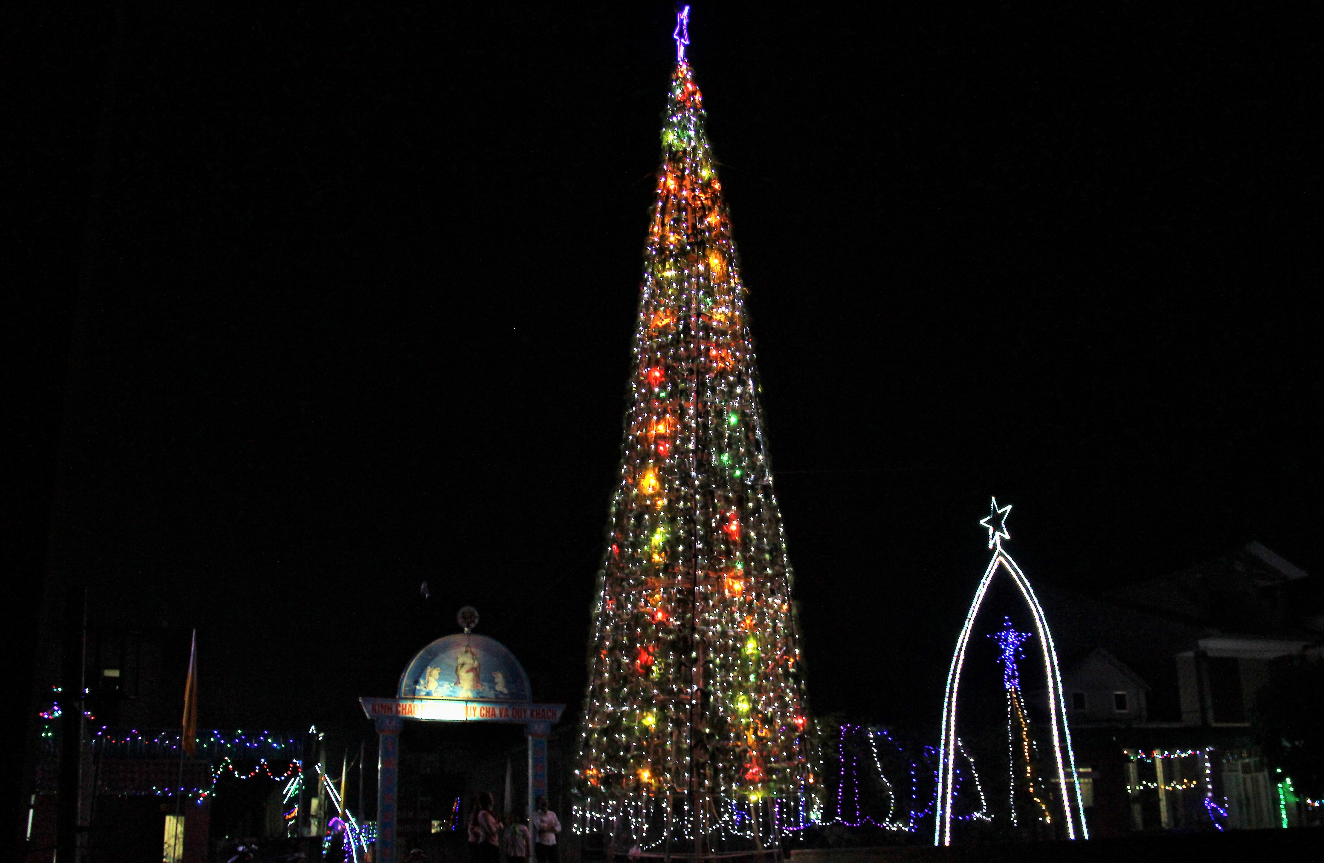 8.000 bau hanh tam ket thanh cay thong Noel cao 20 m hinh anh