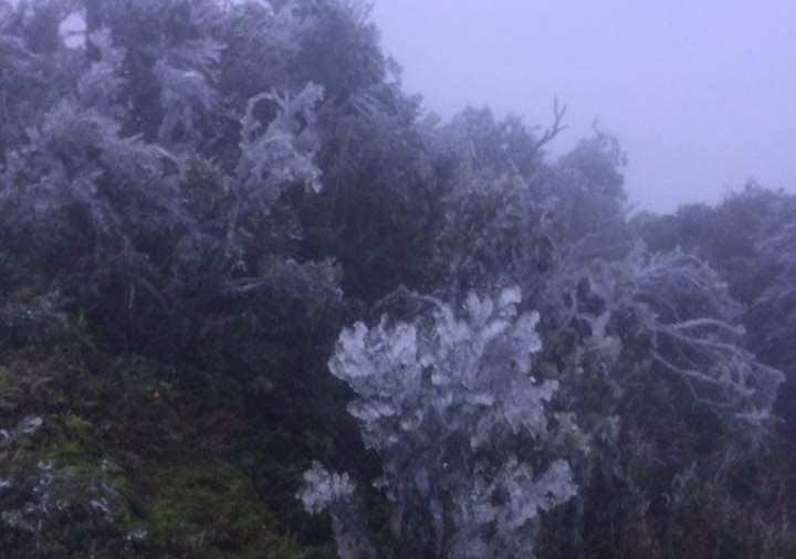 băng giá Mẫu Sơn ảnh 1 bang gia Mau Son anh 1