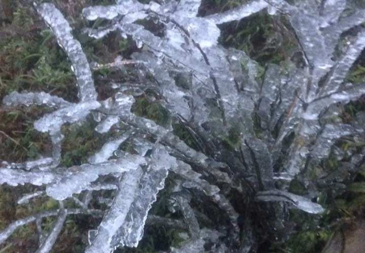 Nhiet do xuong am, bang gia phu trang Mau Son hinh anh