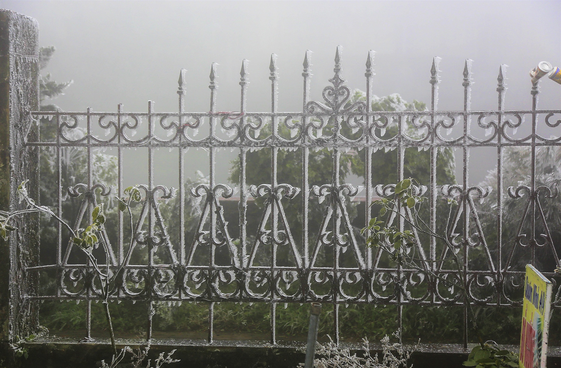 băng tuyết ở mẫu sơn ảnh 8 bang tuyet o mau son anh 8