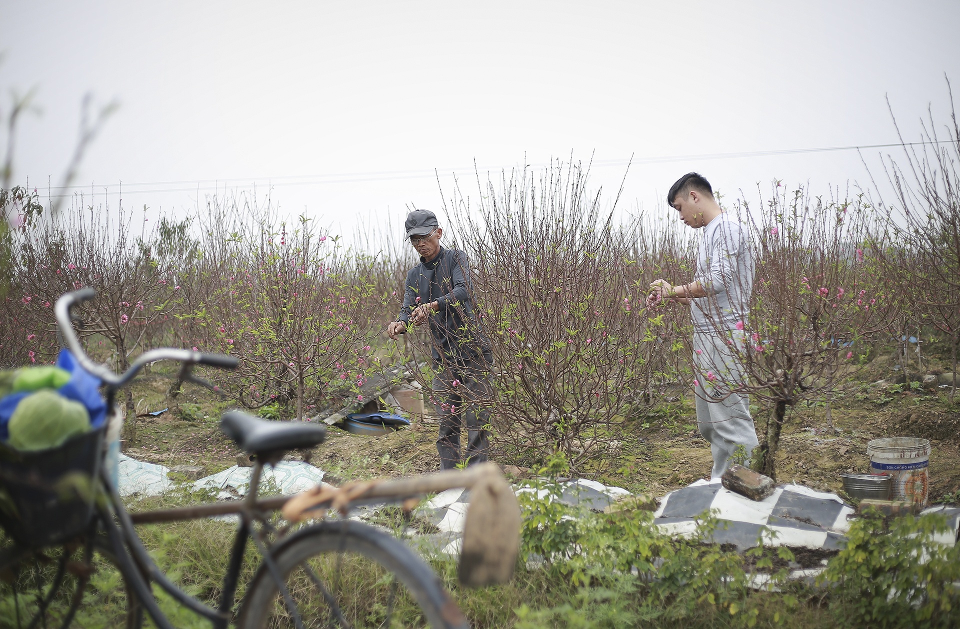 dao bi ke gian chat pha anh 9