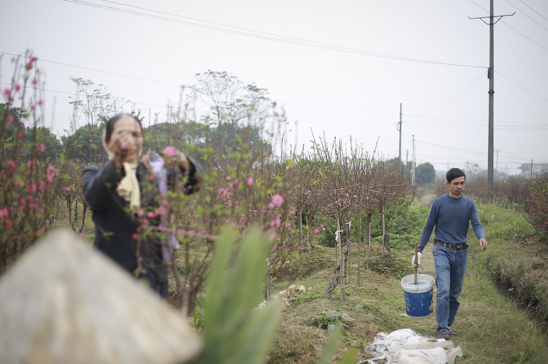 dao bi ke gian chat pha anh 10