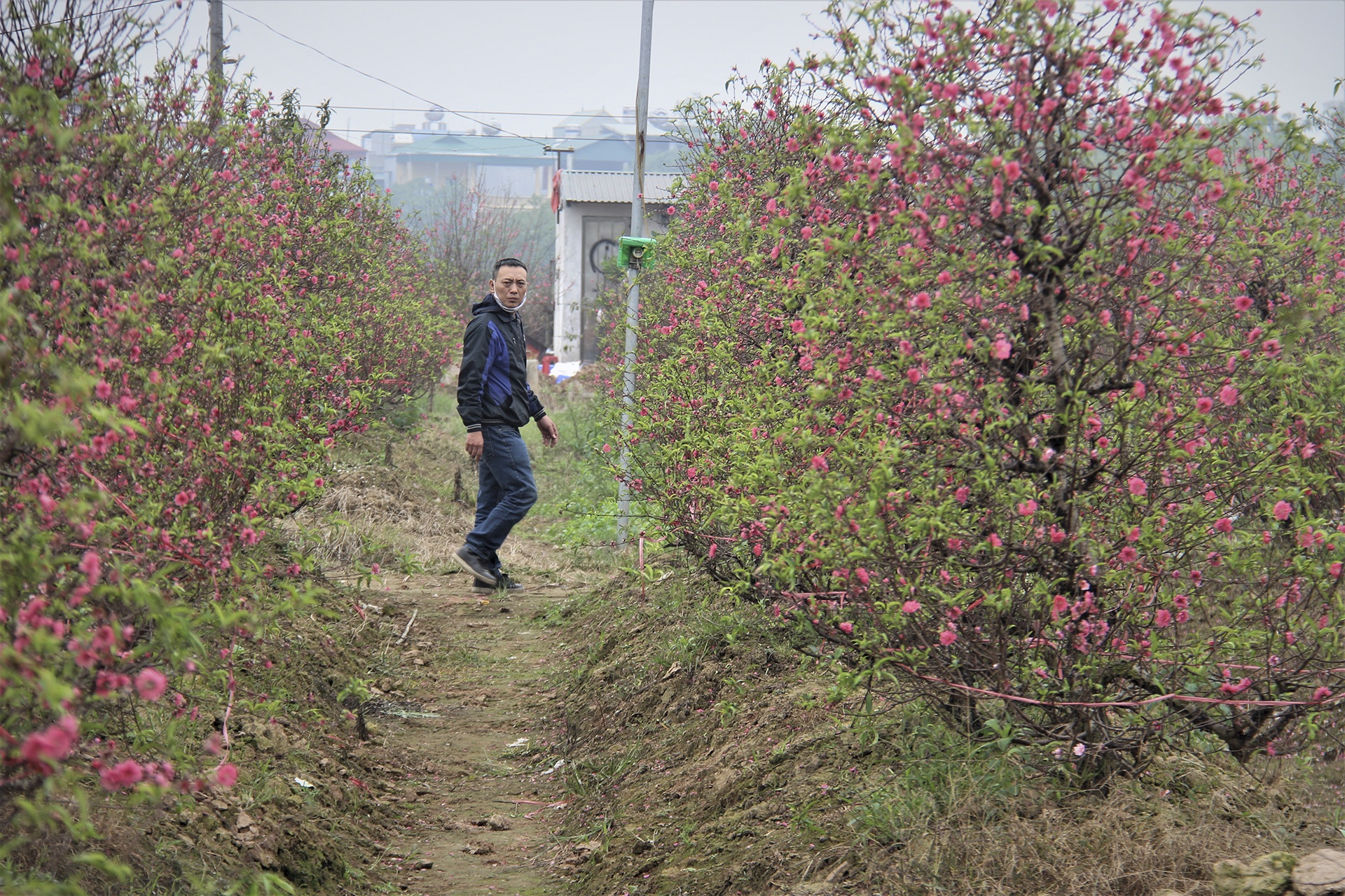 dao bi ke gian chat pha anh 12