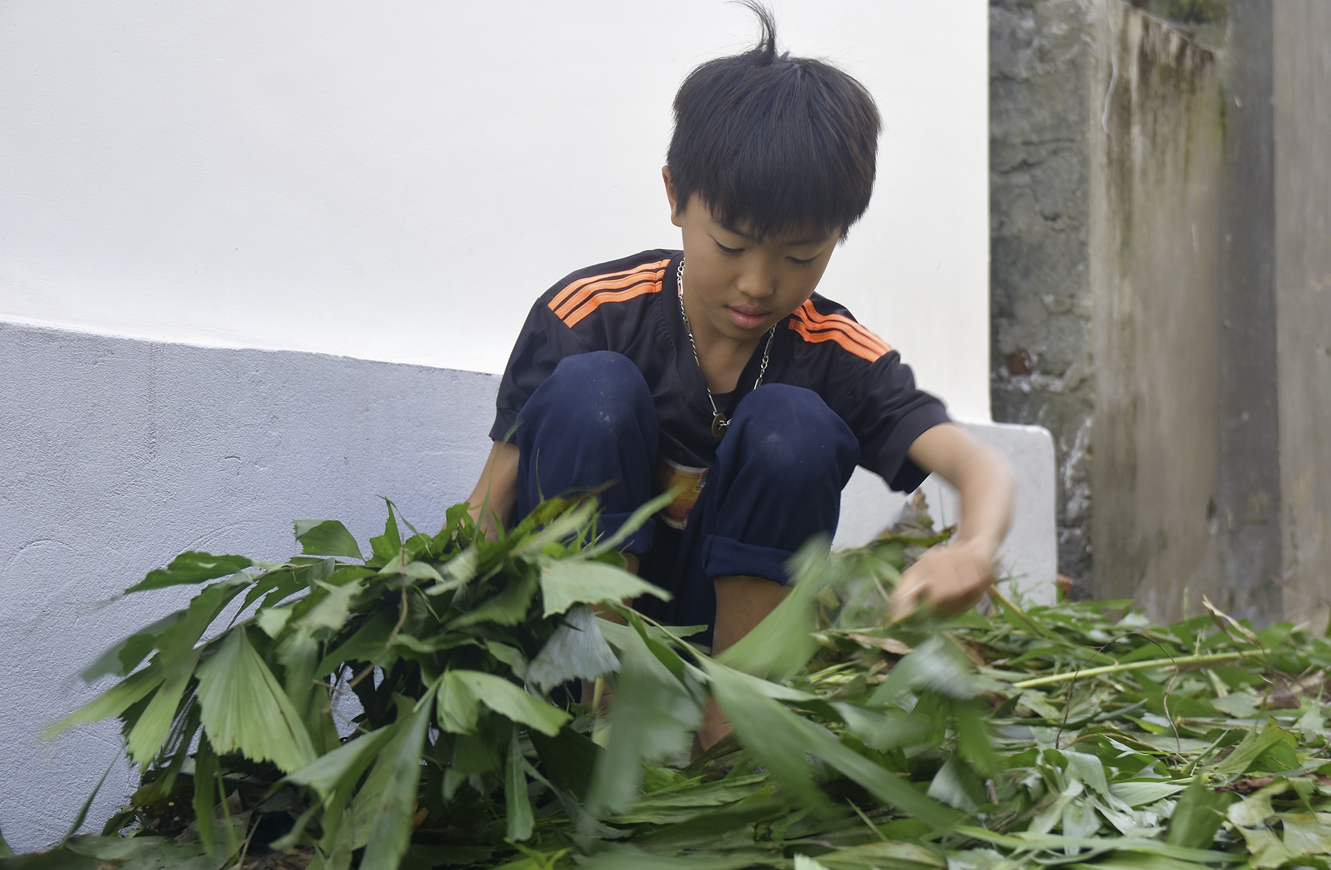 Cây nêu ngày Tết ảnh 4 Cay neu ngay Tet anh 4