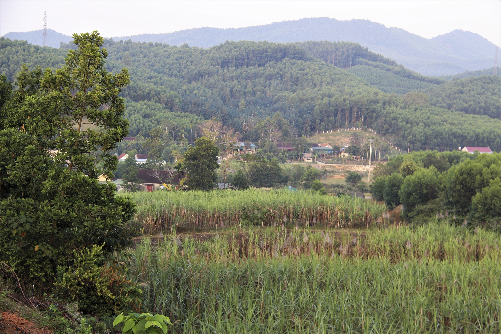 thủ phủ đá đỏ Quỳ Châu ảnh 13 thu phu da do Quy Chau anh 13