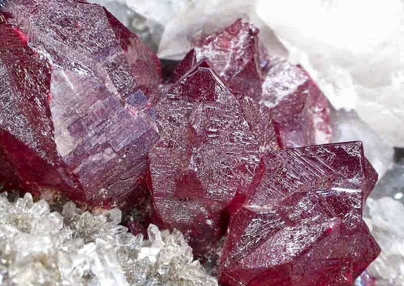 Ky uc du doi o 'thu phu da do' hinh anh